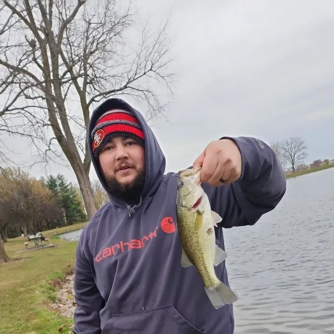 angler catch