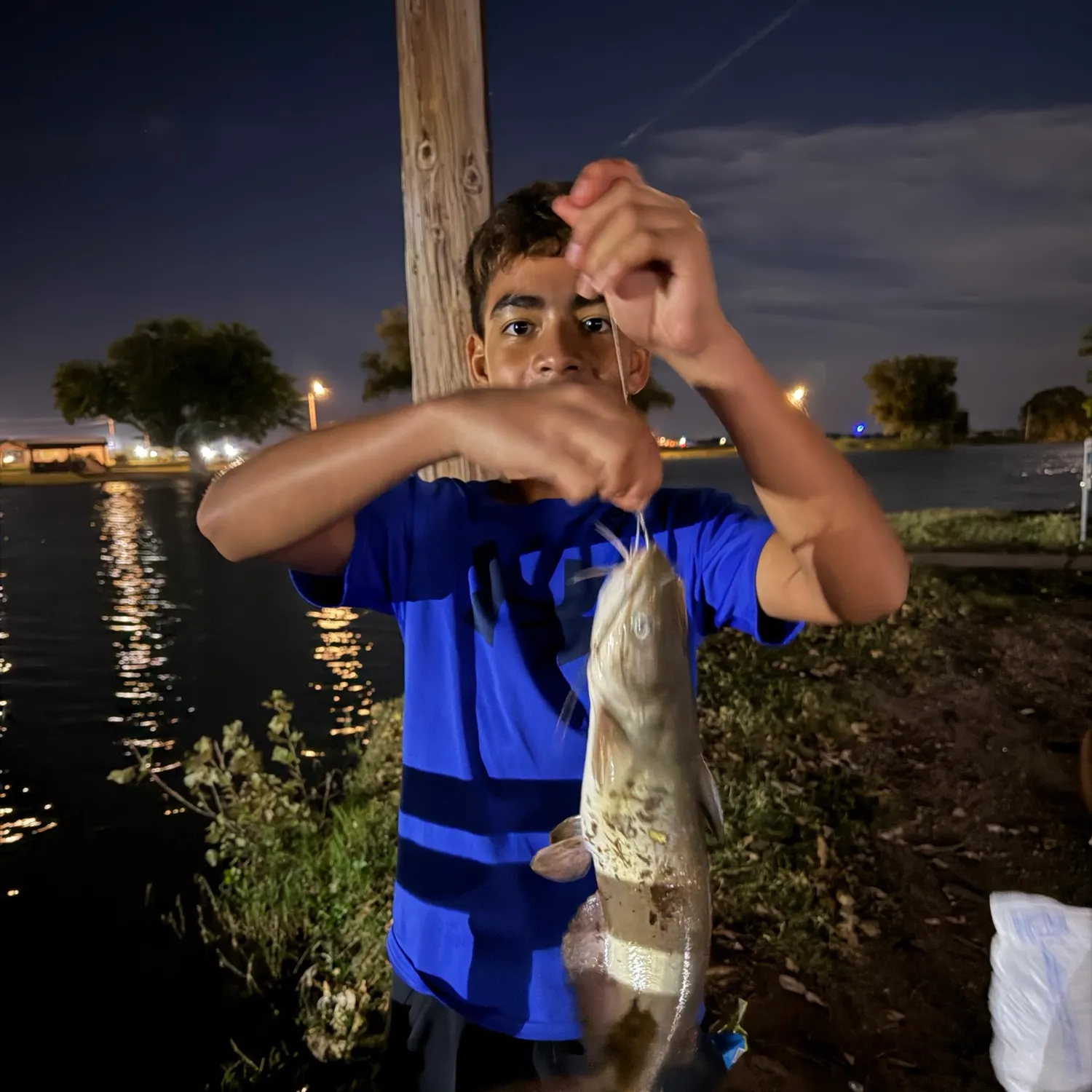 Blue catfish caught on Fishbrain
