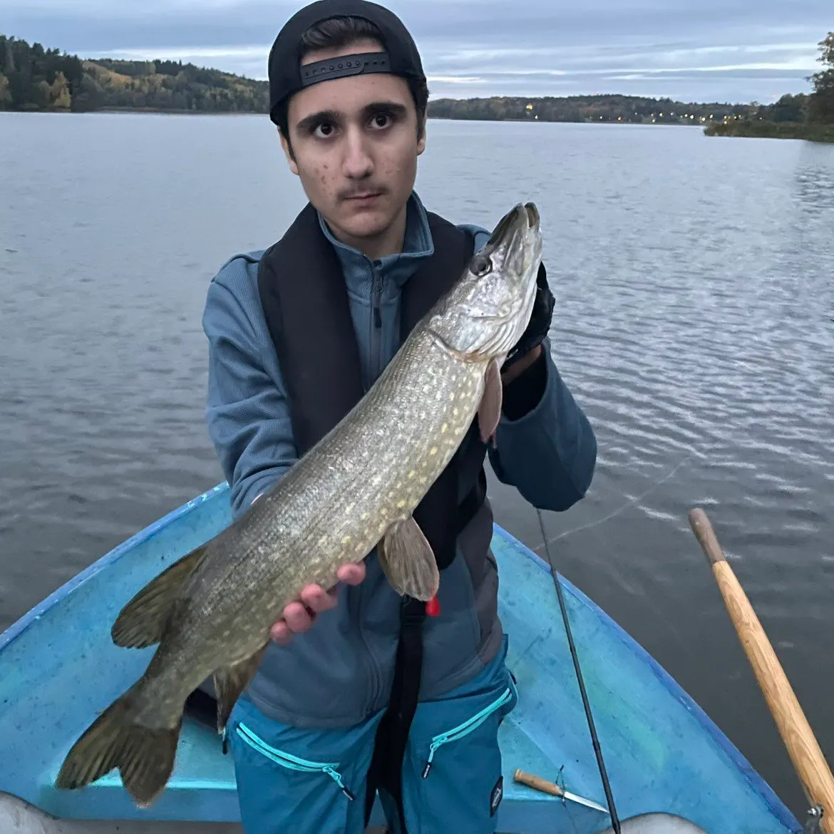 Northern pike caught on Fishbrain