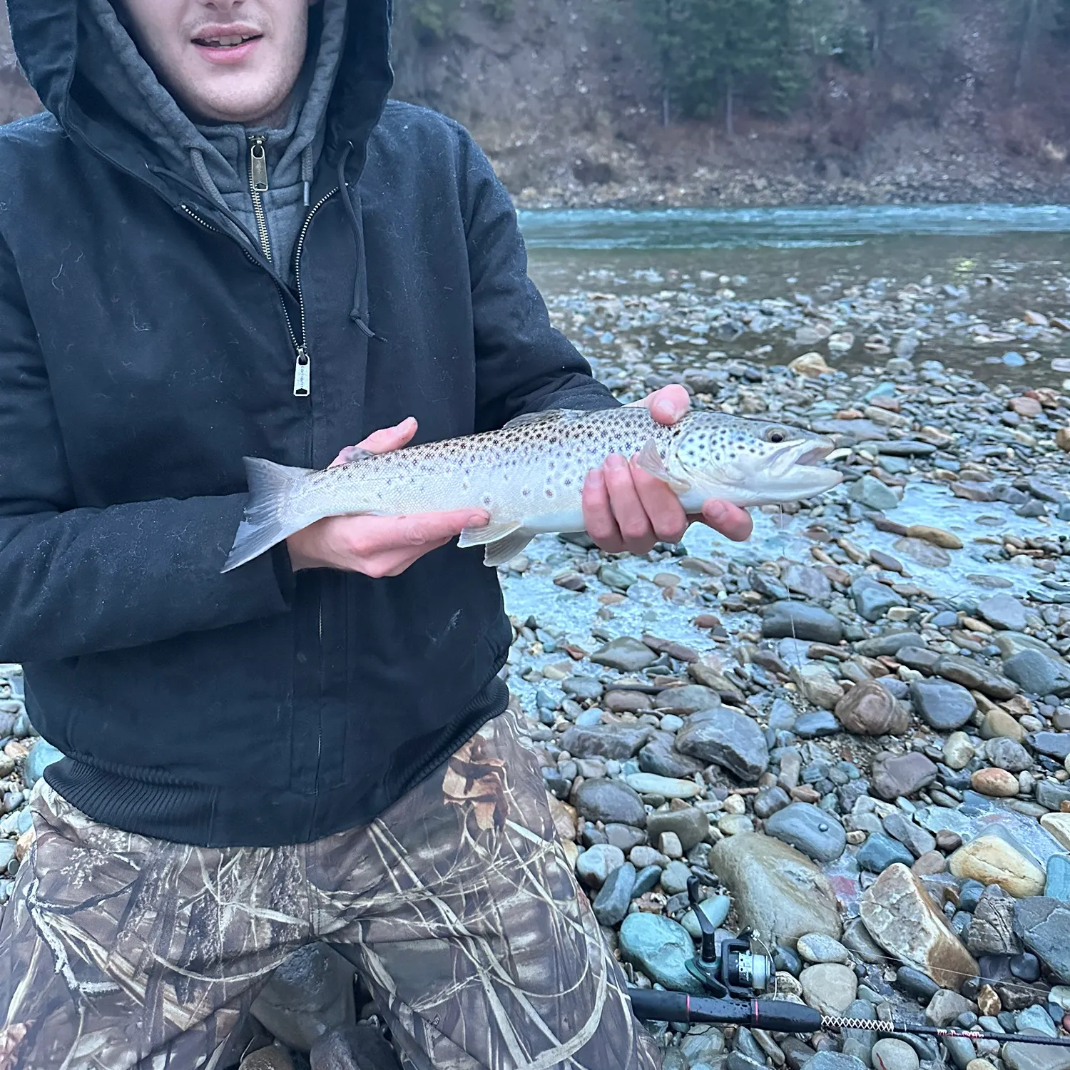 The most recent Sea trout catches on Fishbrain