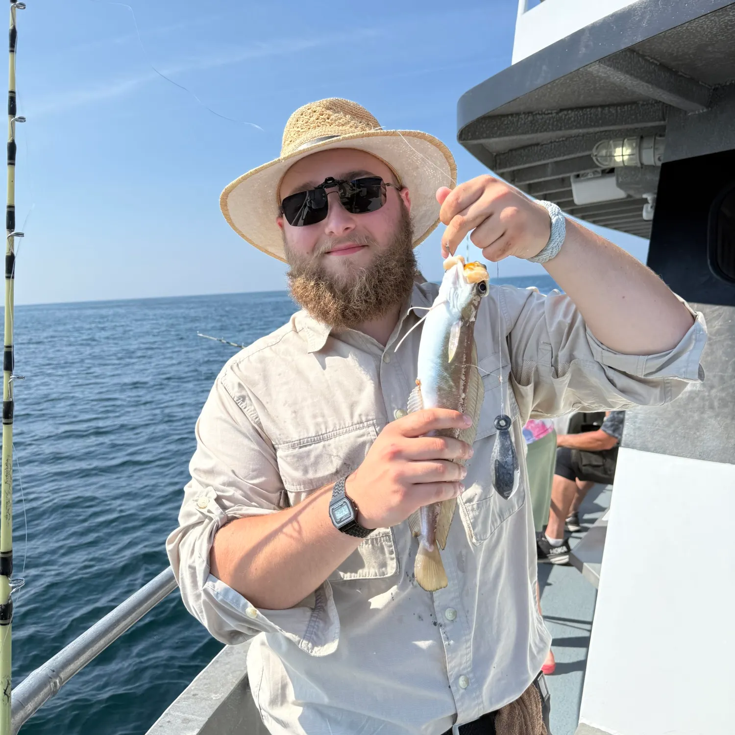 The most recent Red hake catches on Fishbrain
