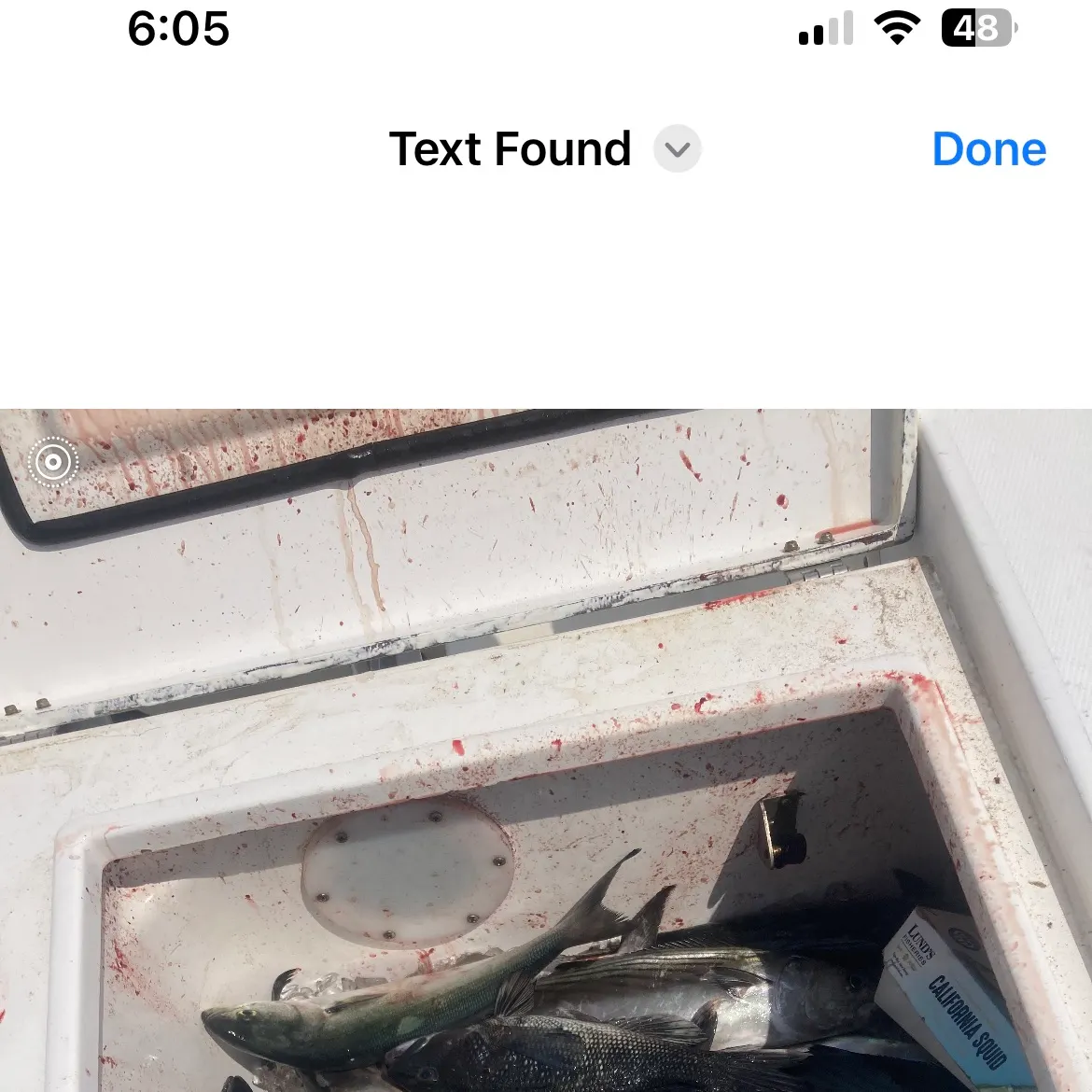 The most recent Striped bonito catches on Fishbrain