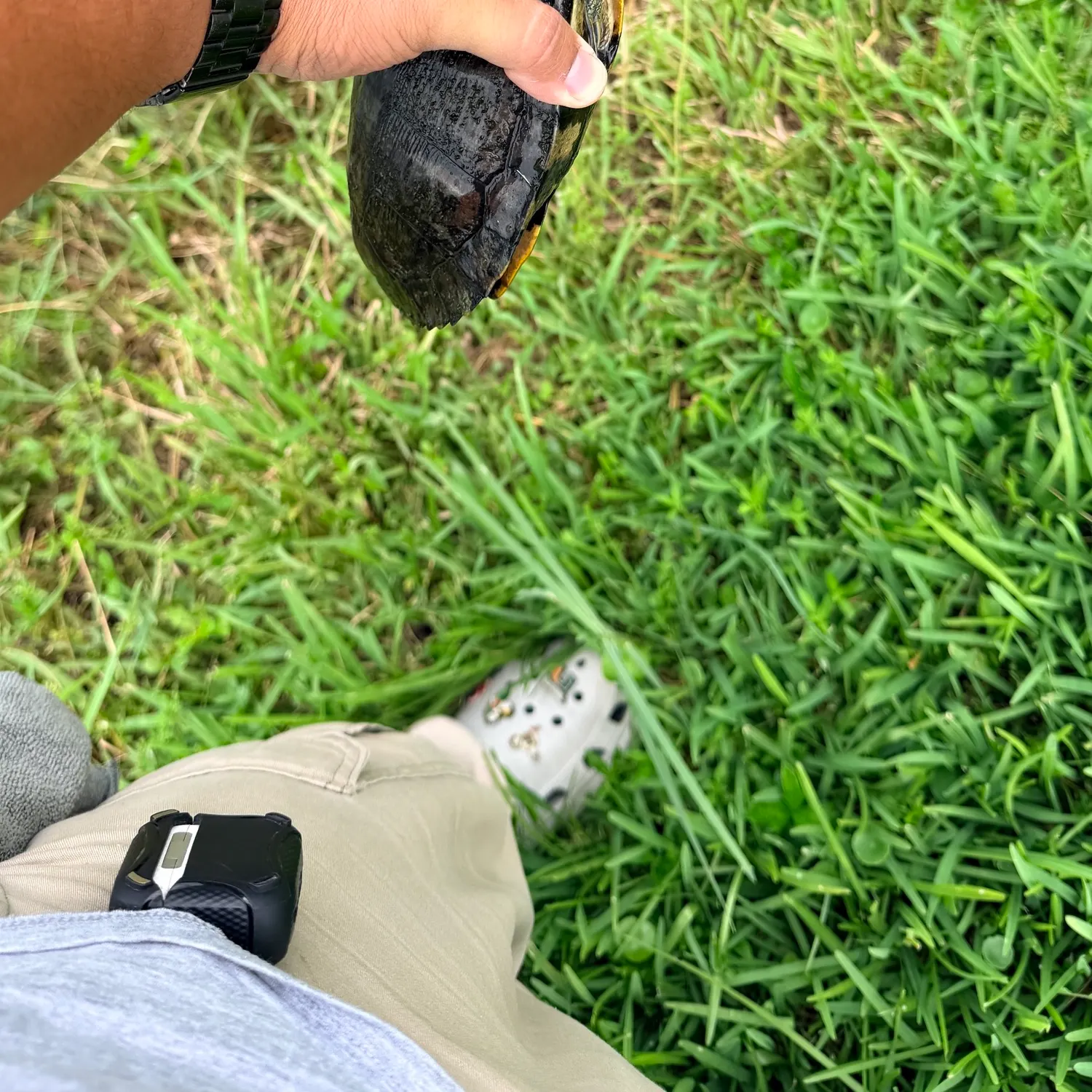 Pond slider turtle caught on Fishbrain