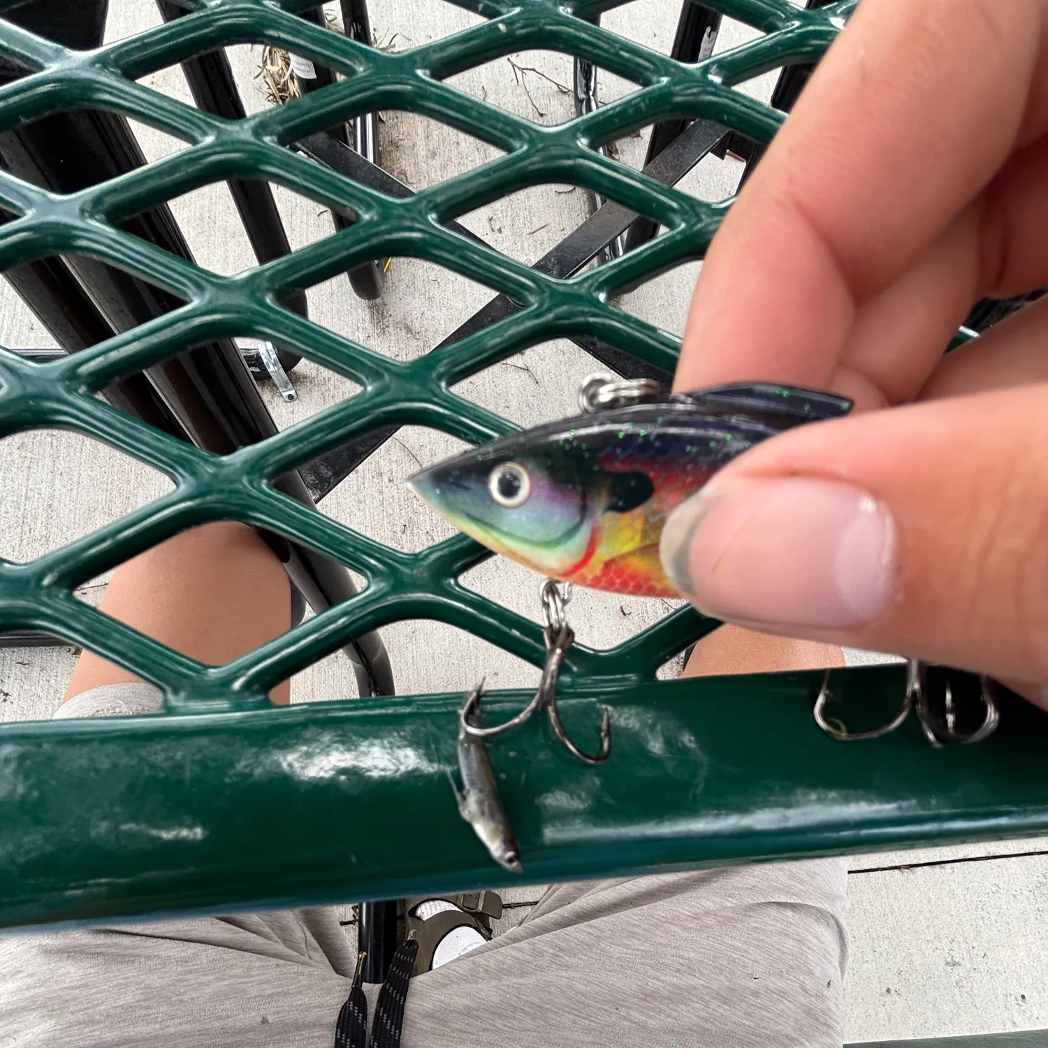 The most recent Bayou topminnow catches on Fishbrain