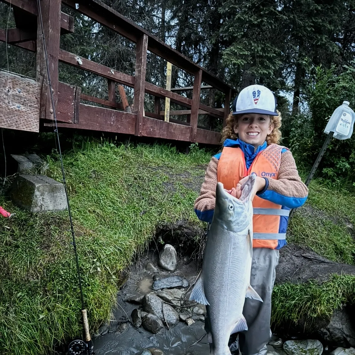 The most recent Sockeye salmon catches on Fishbrain