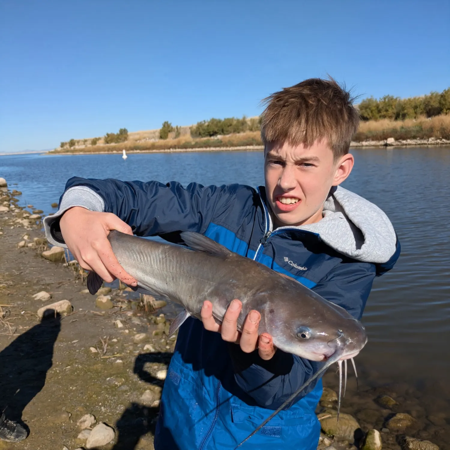 Channel catfish caught on Fishbrain