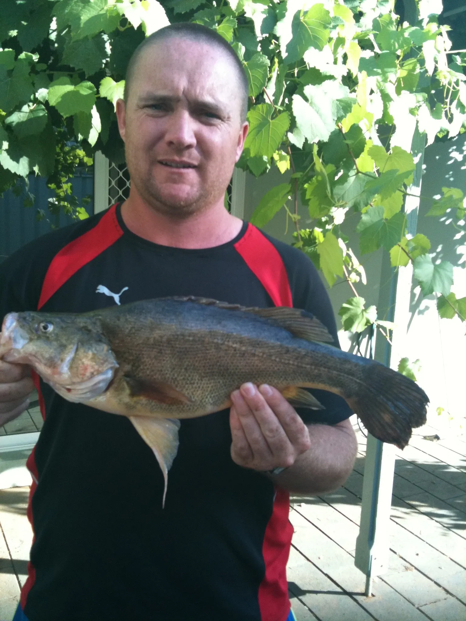 Post image from jeremywinzar