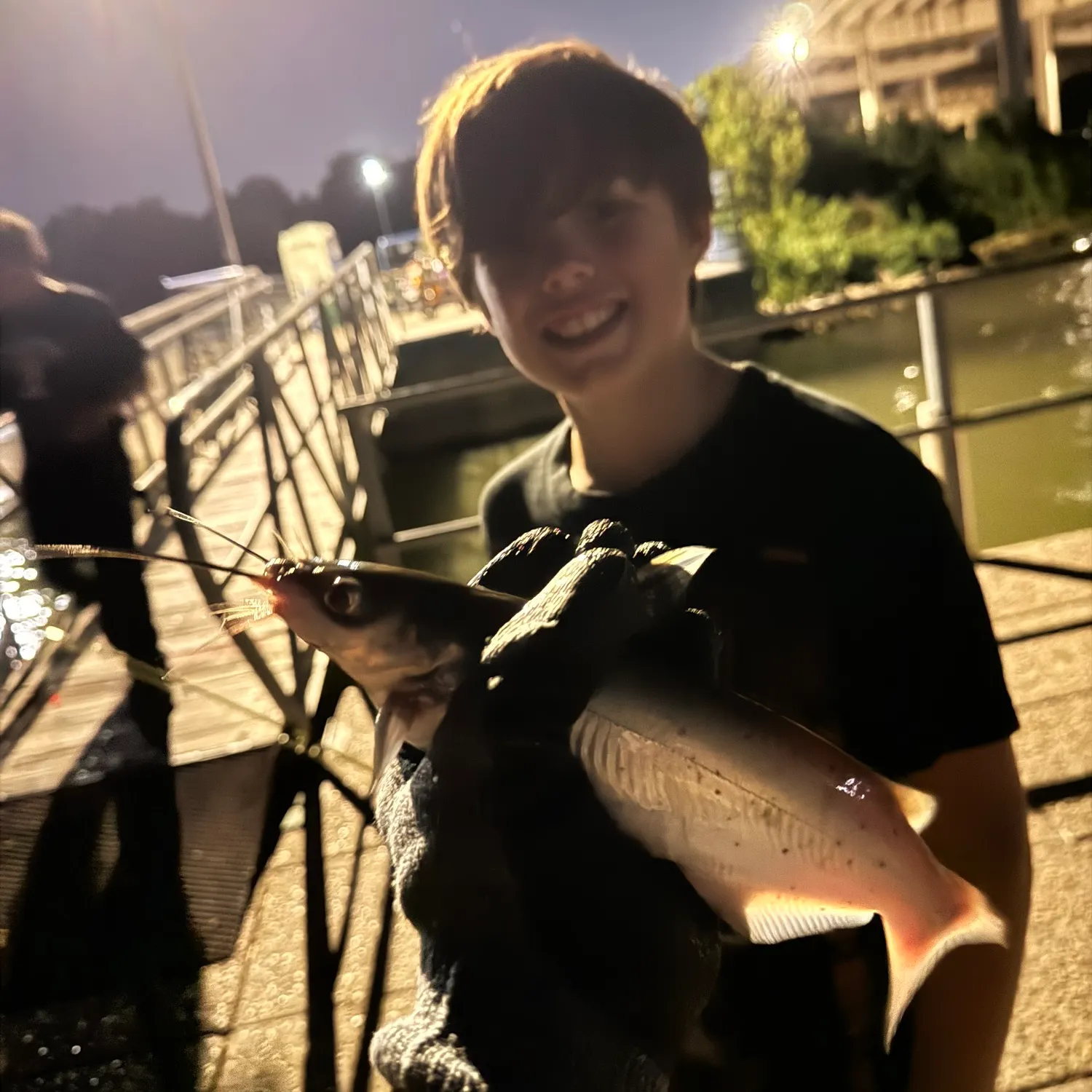 Channel catfish caught on Fishbrain