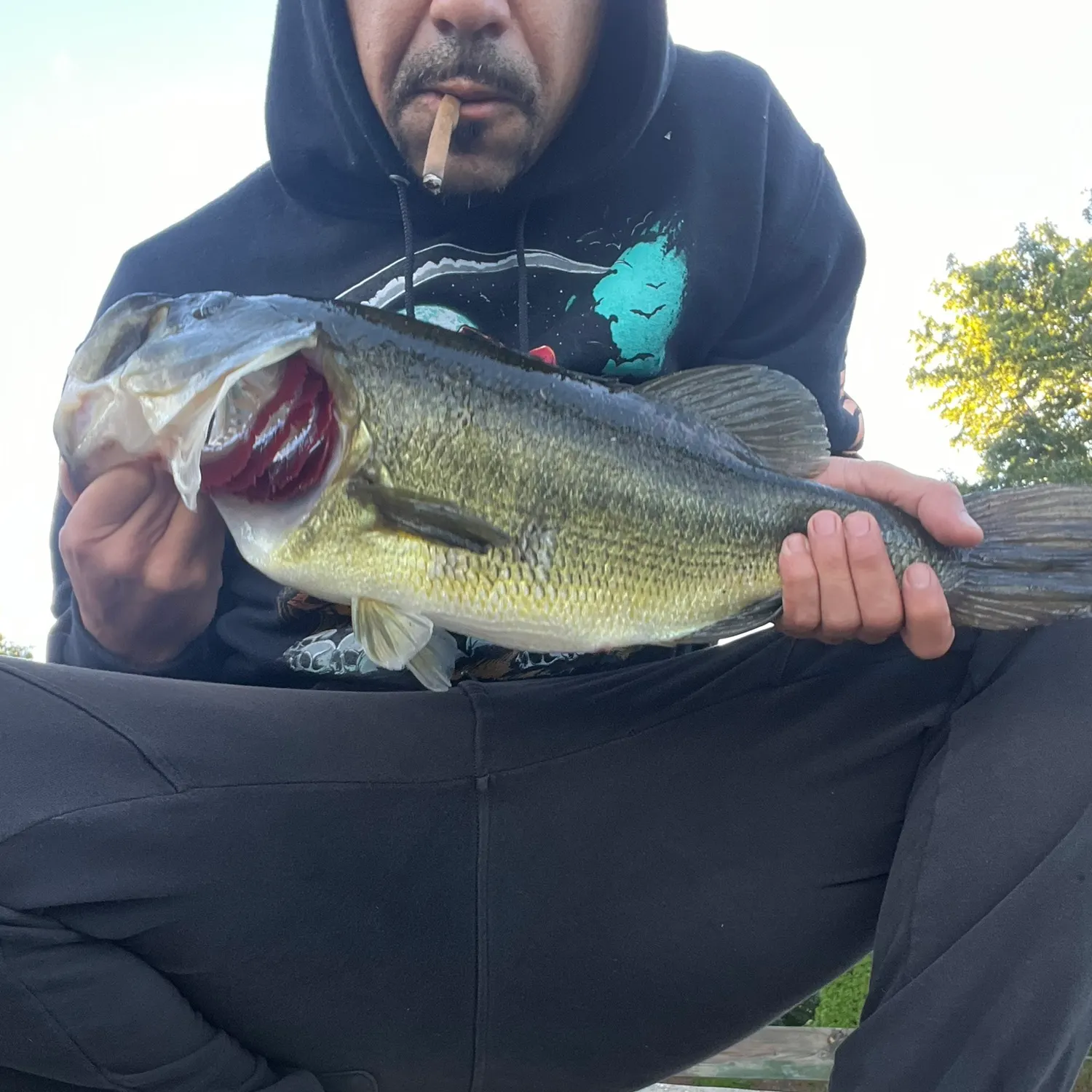 Largemouth bass caught on Fishbrain