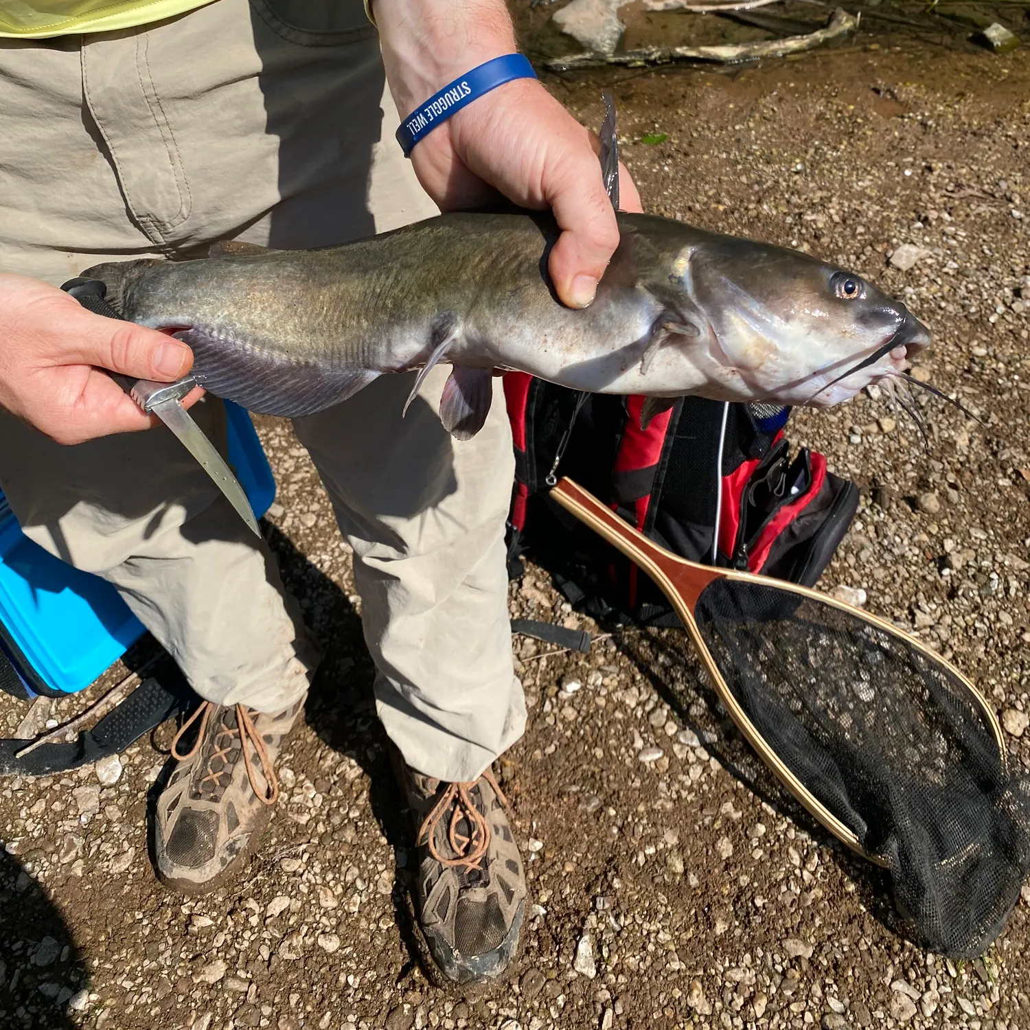 catch