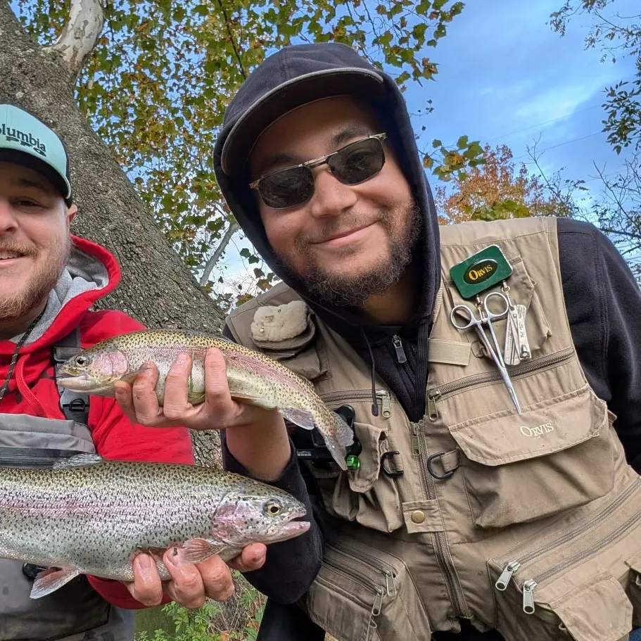 Rainbow trout caught on Fishbrain
