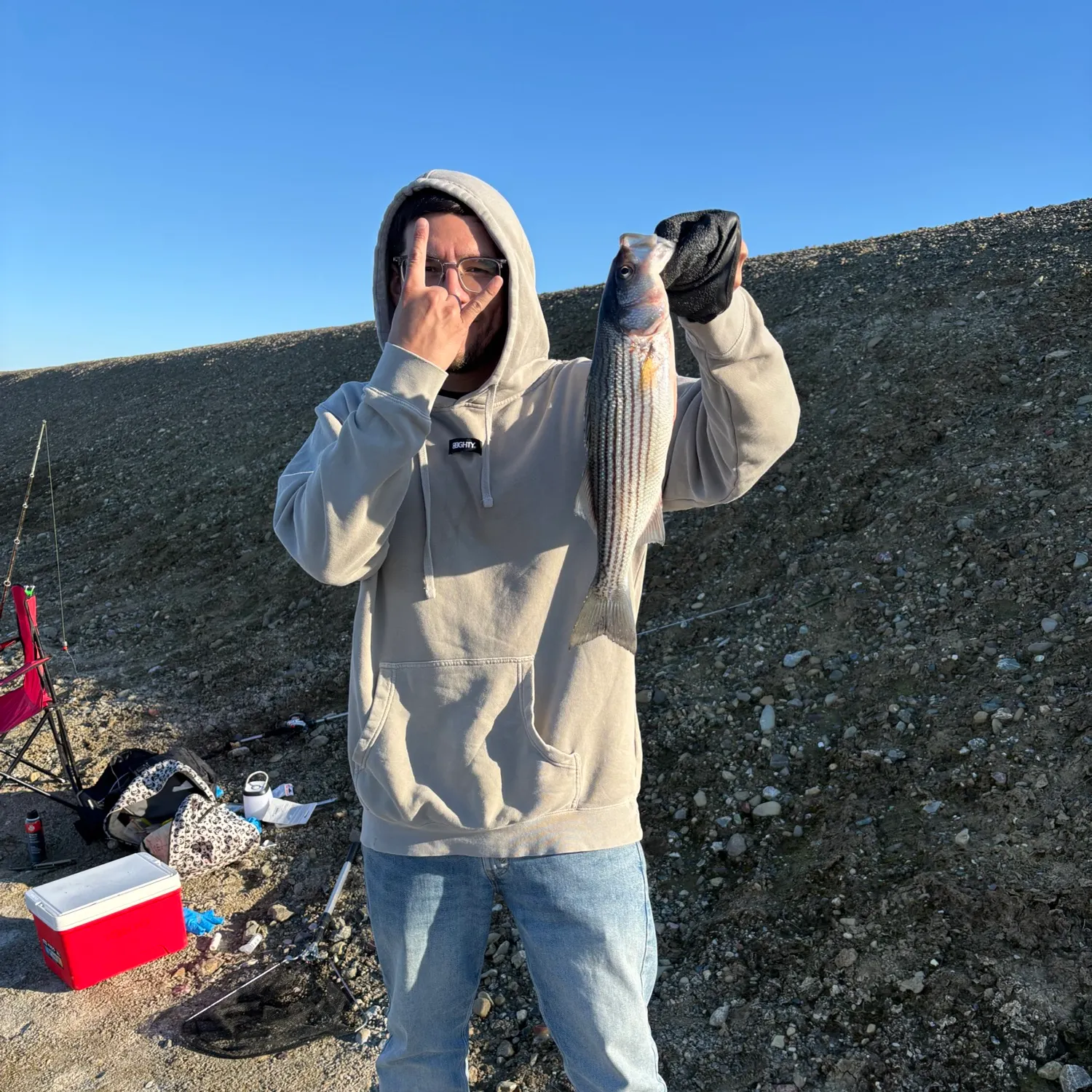 The most recent Striped bass catches on Fishbrain