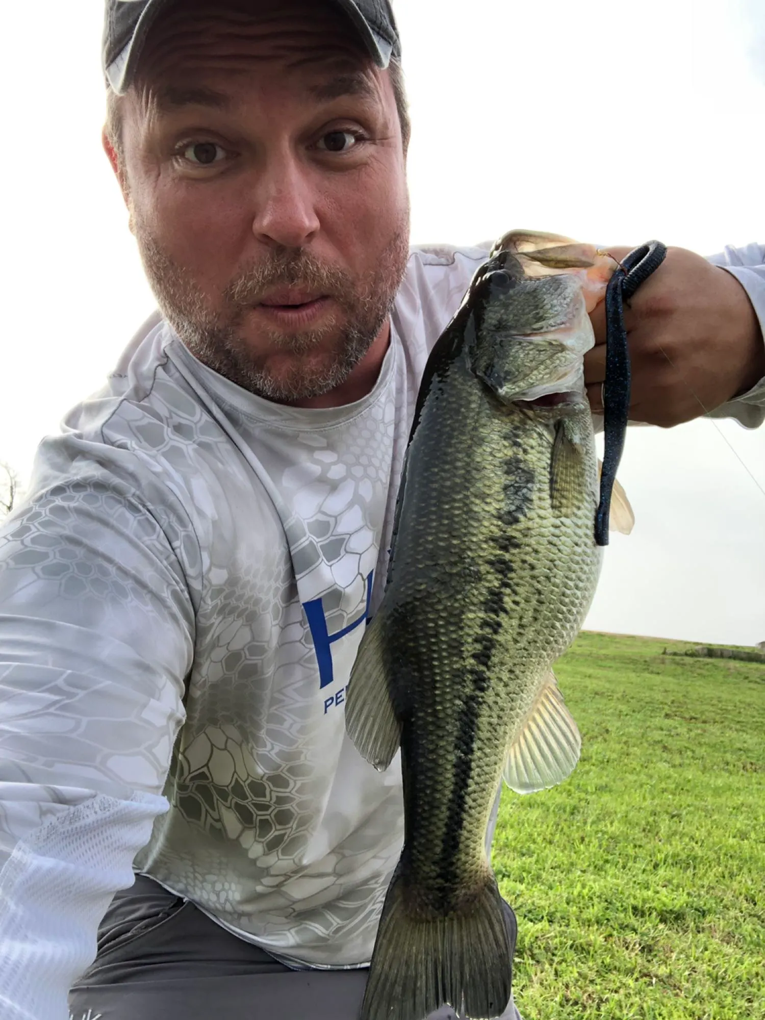 Post image from lmeris