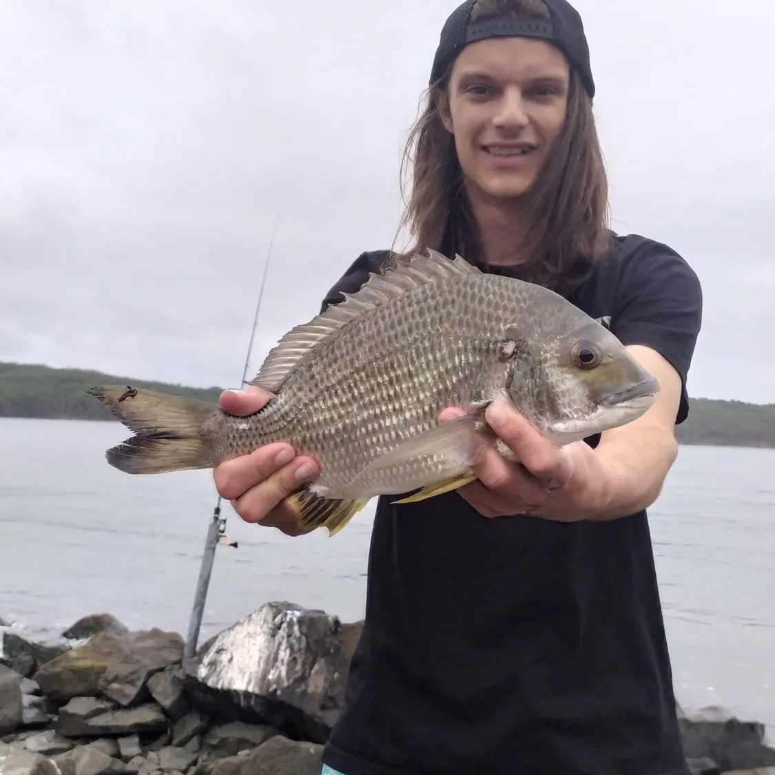 angler catch