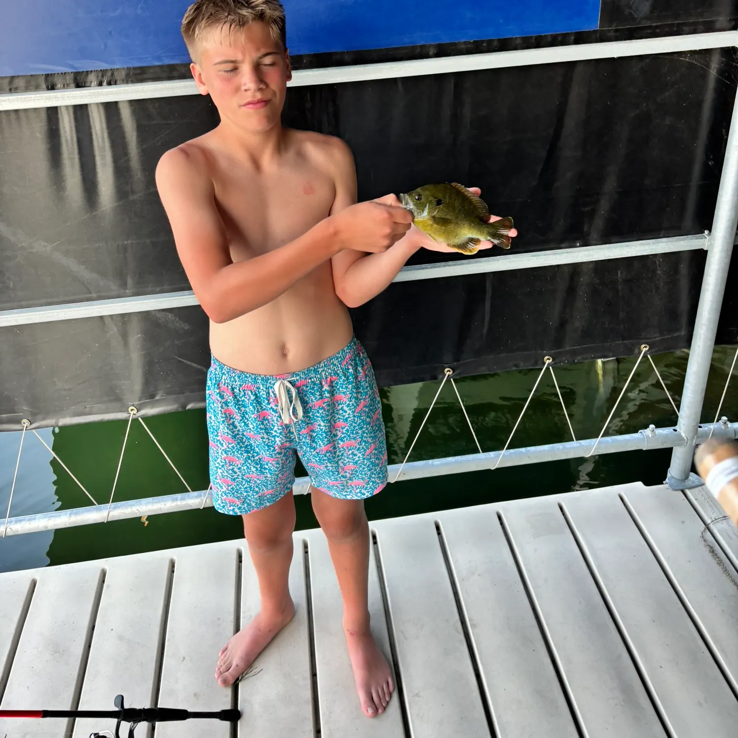 Bluegill caught on Fishbrain
