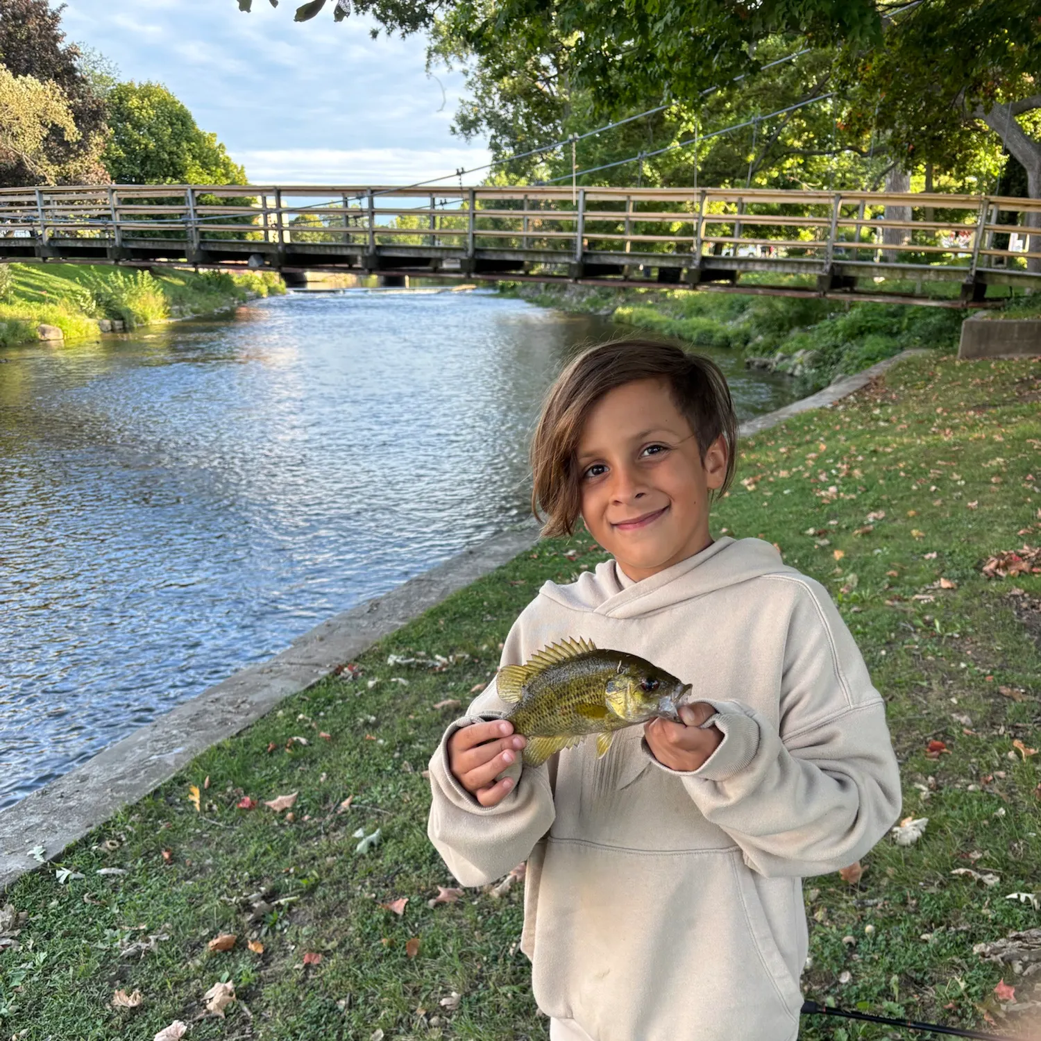 Rock bass caught on Fishbrain