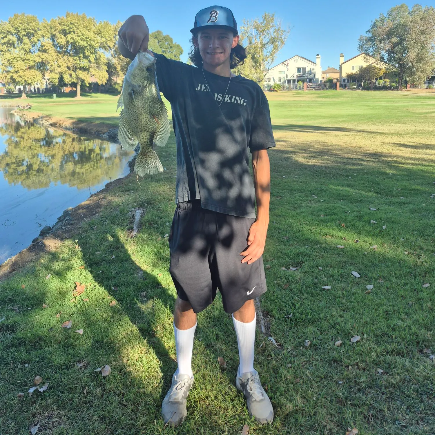 Black crappie caught on Fishbrain