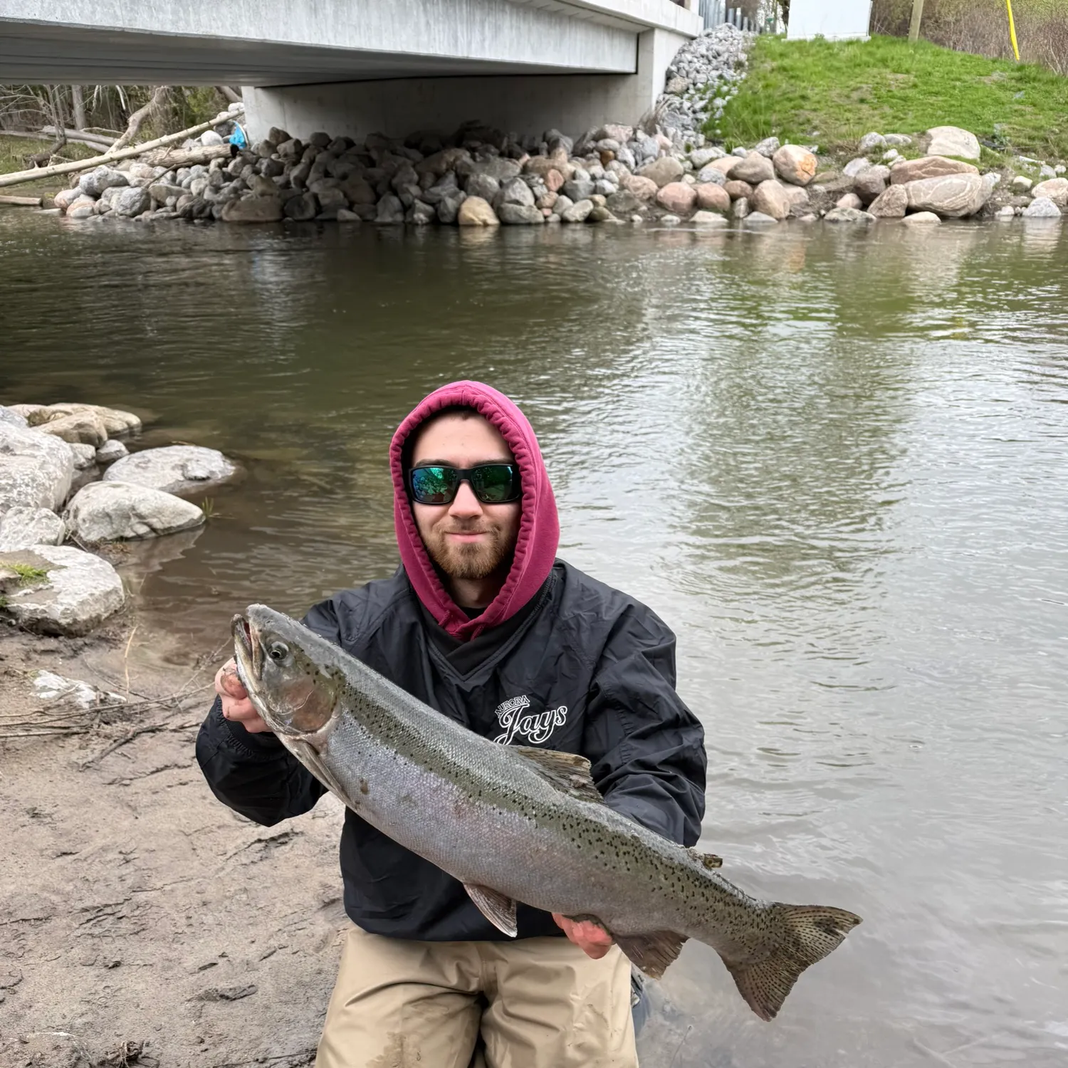 The most recent Steelhead catches on Fishbrain