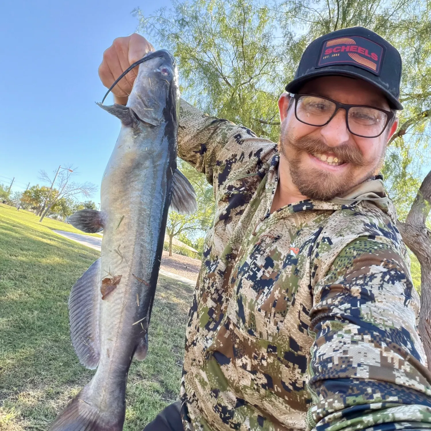 Channel catfish caught on Fishbrain