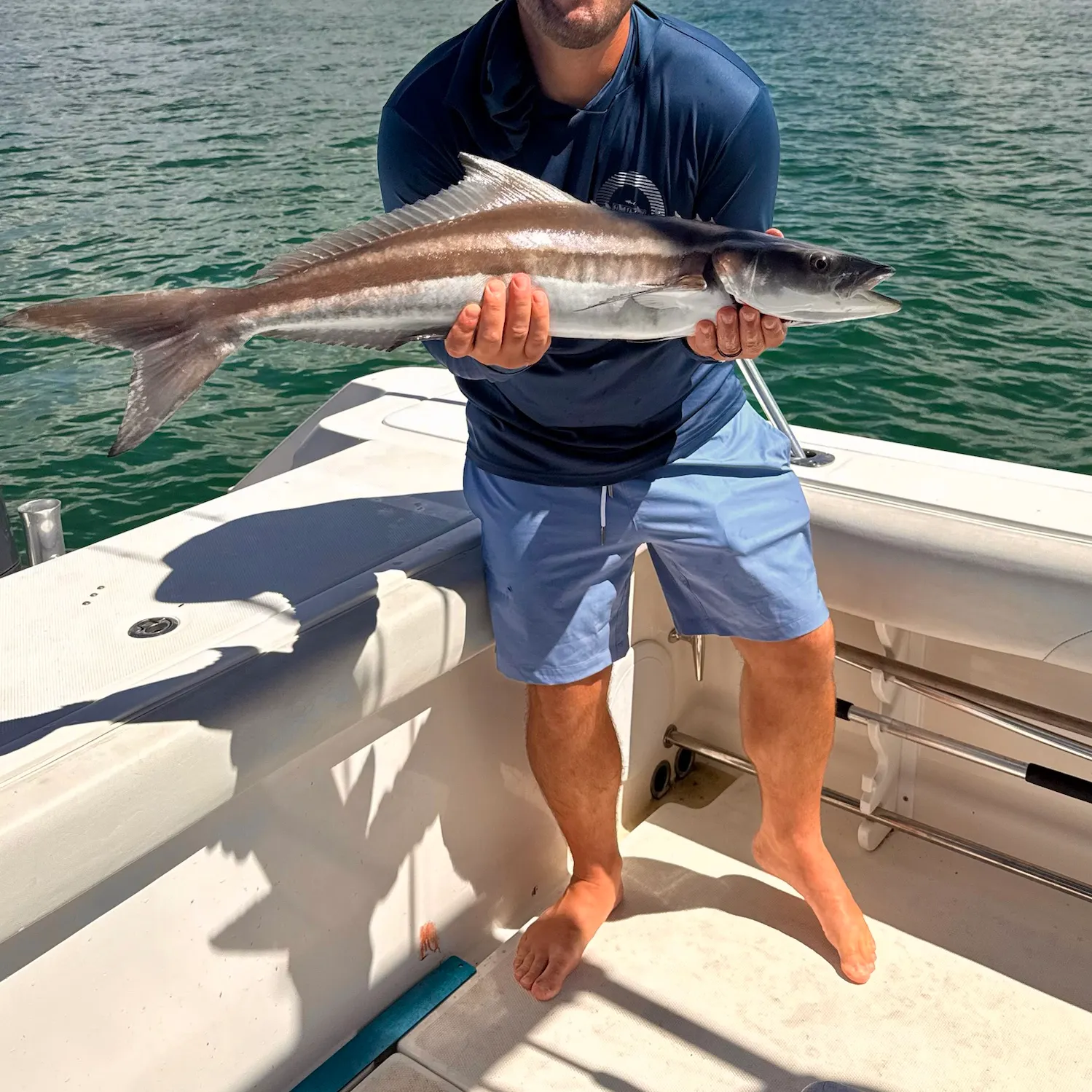 Cobia caught on Fishbrain