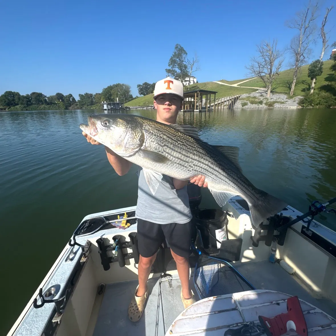 Striped bass caught on Fishbrain
