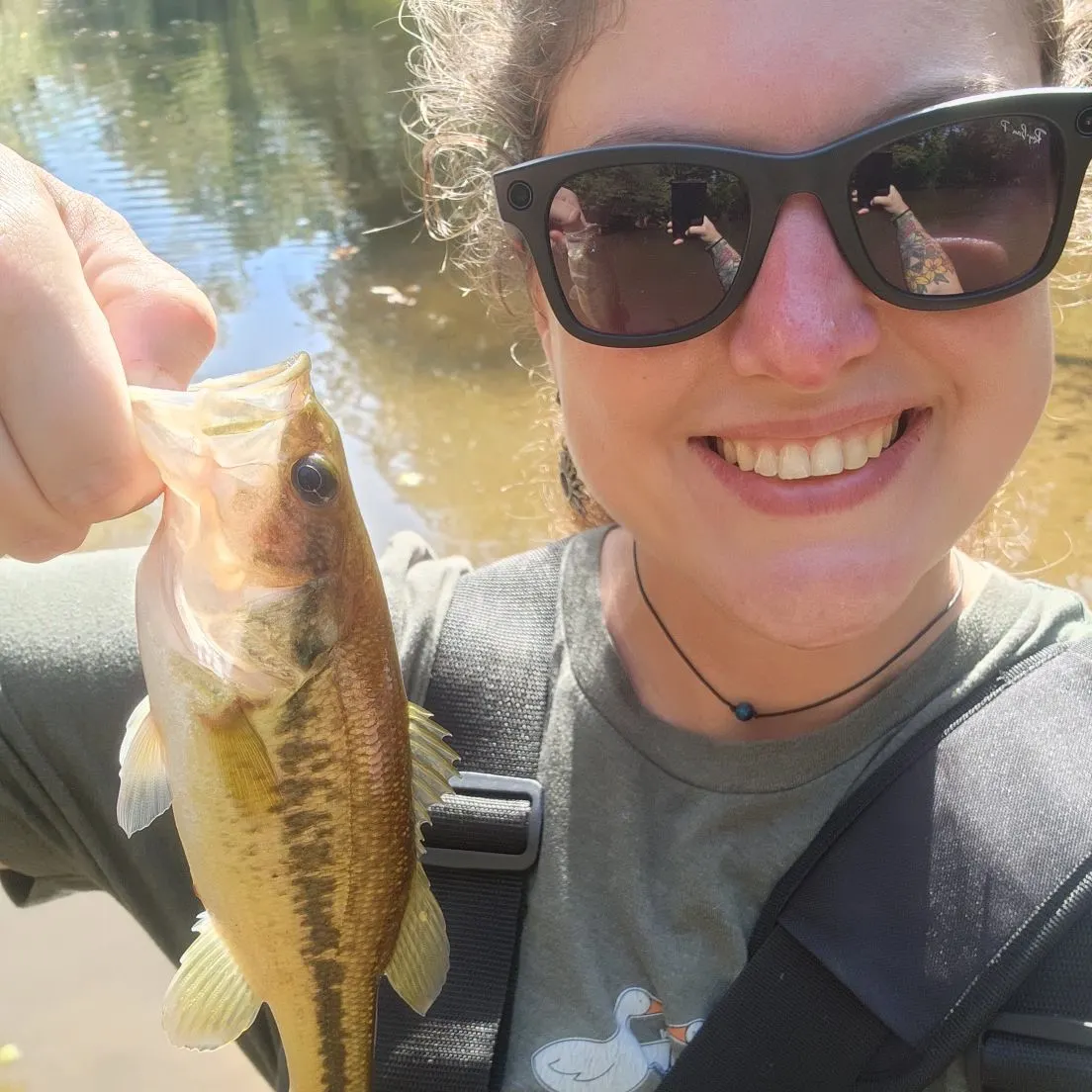 Largemouth bass caught on Fishbrain