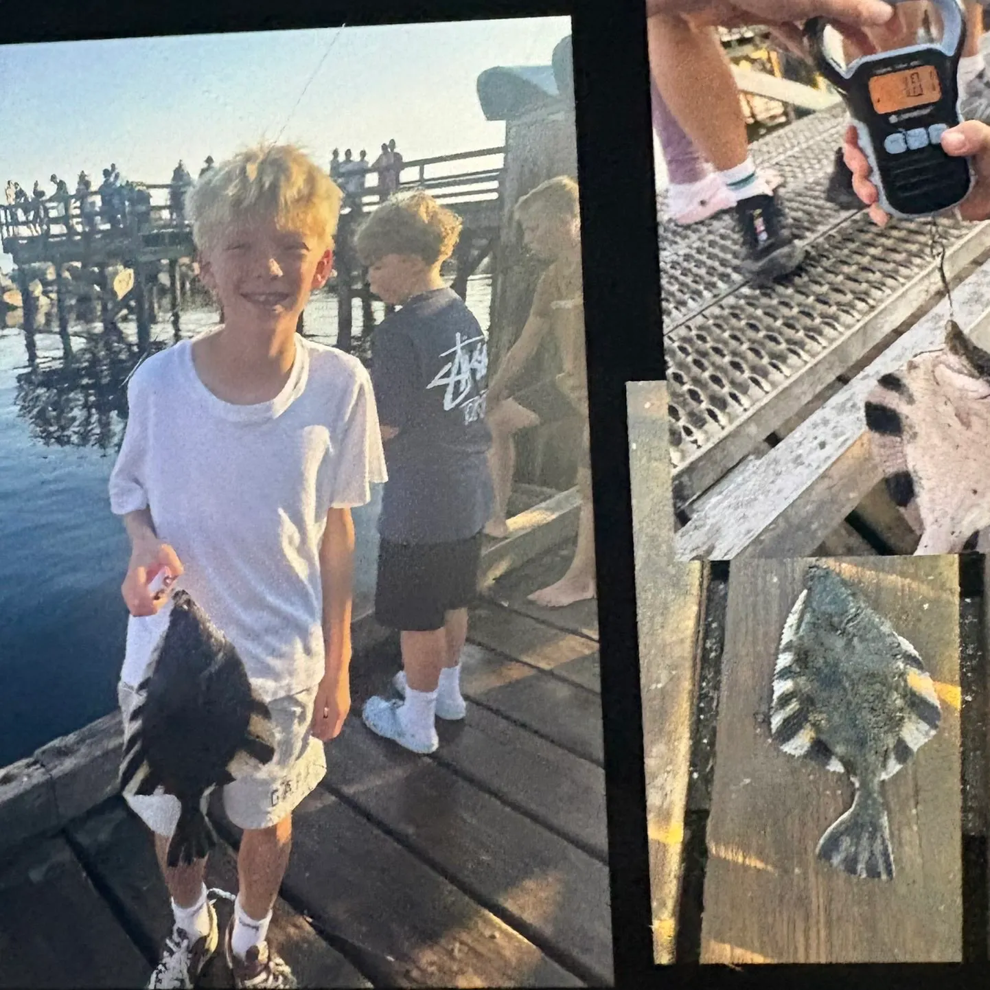 The most recent Starry flounder catches on Fishbrain