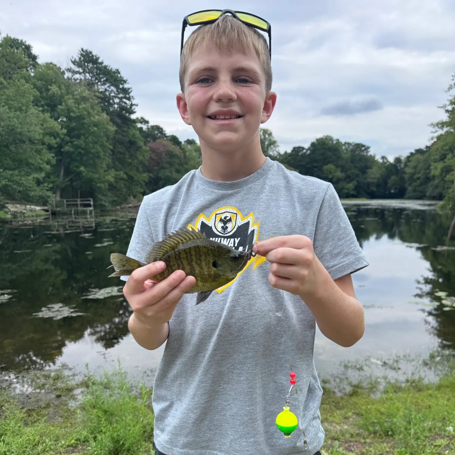 Green sunfish caught on Fishbrain