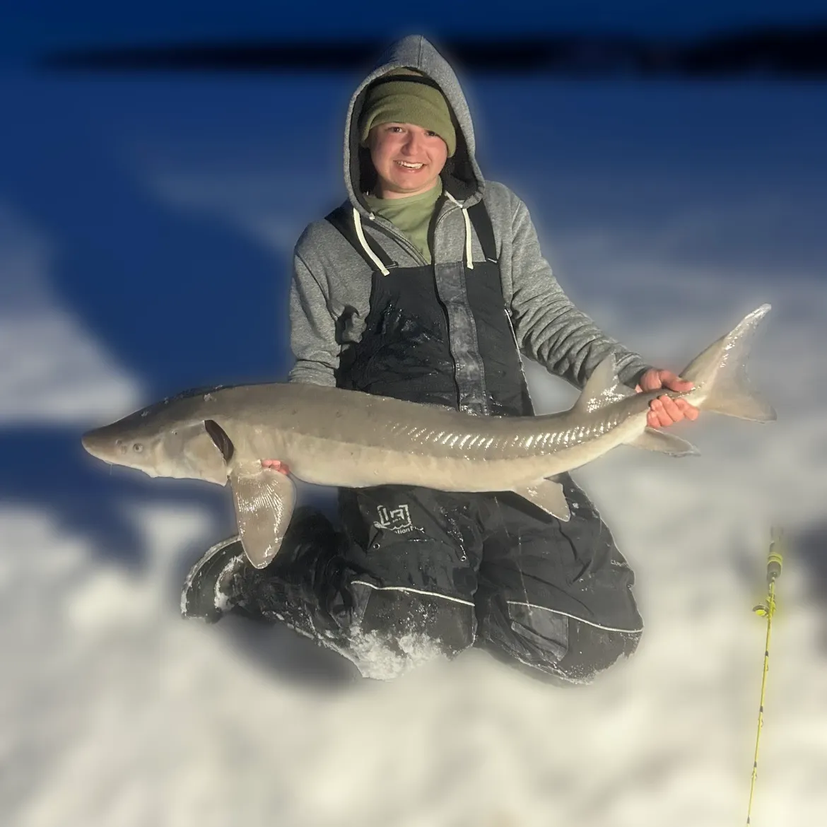The most recent Lake sturgeon catches on Fishbrain