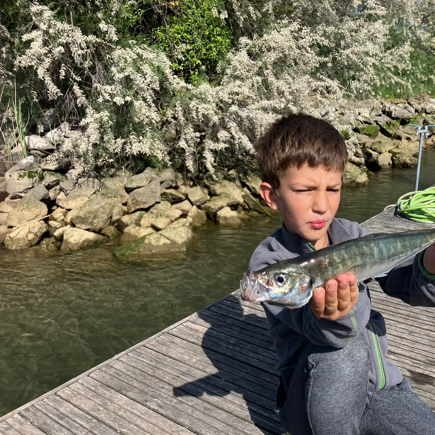most liked catch image