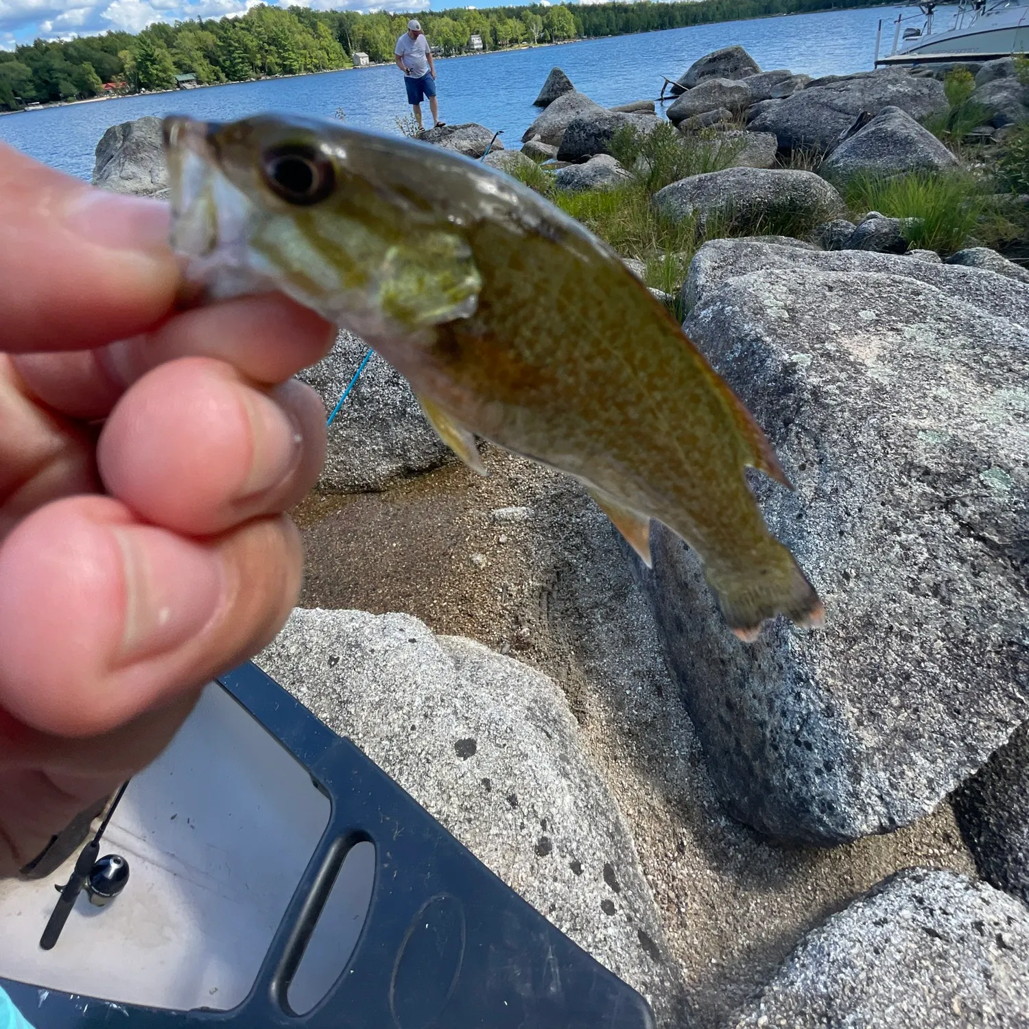 Smallmouth bass caught on Fishbrain