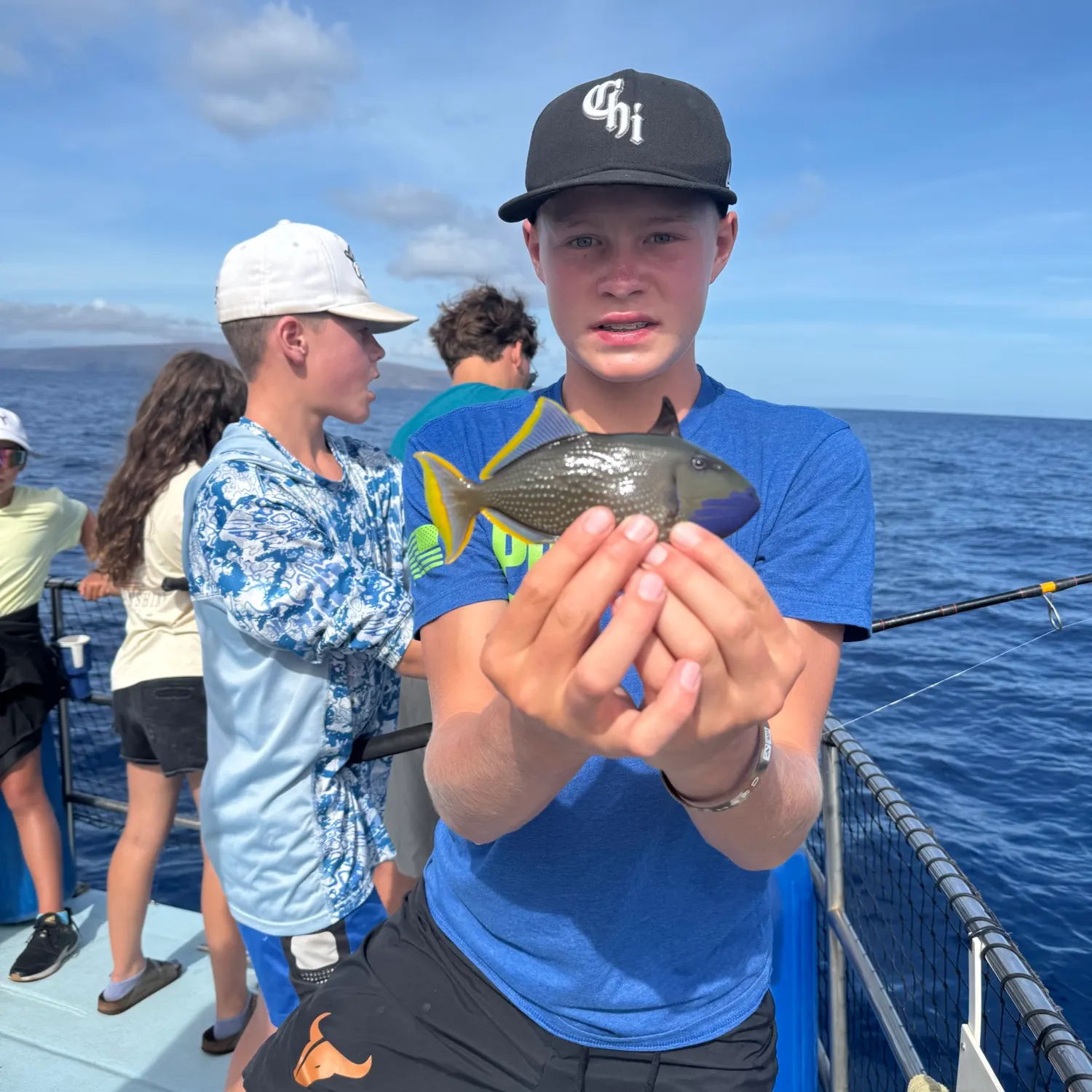 The most recent Halfmoon triggerfish catches on Fishbrain