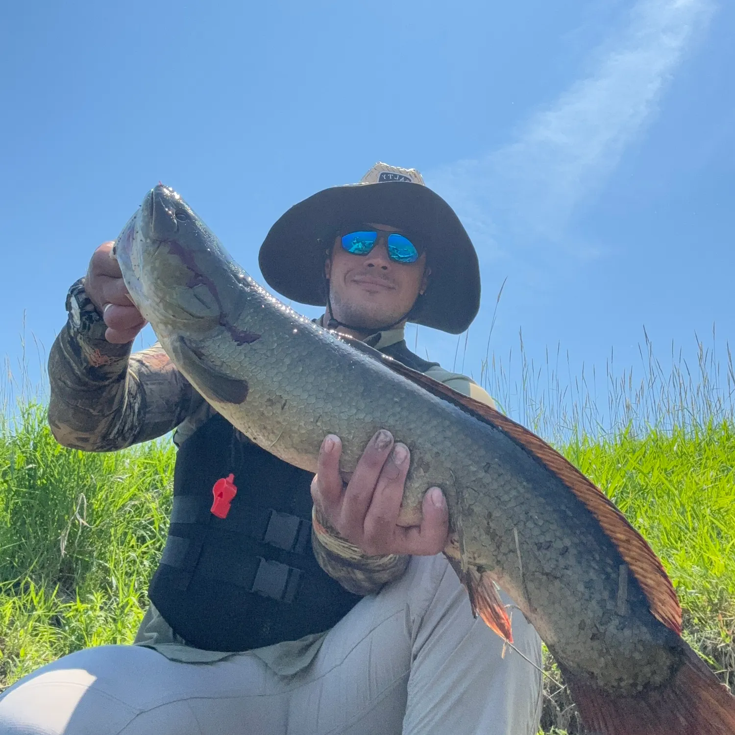 The most recent Ruddy bowfin catches on Fishbrain