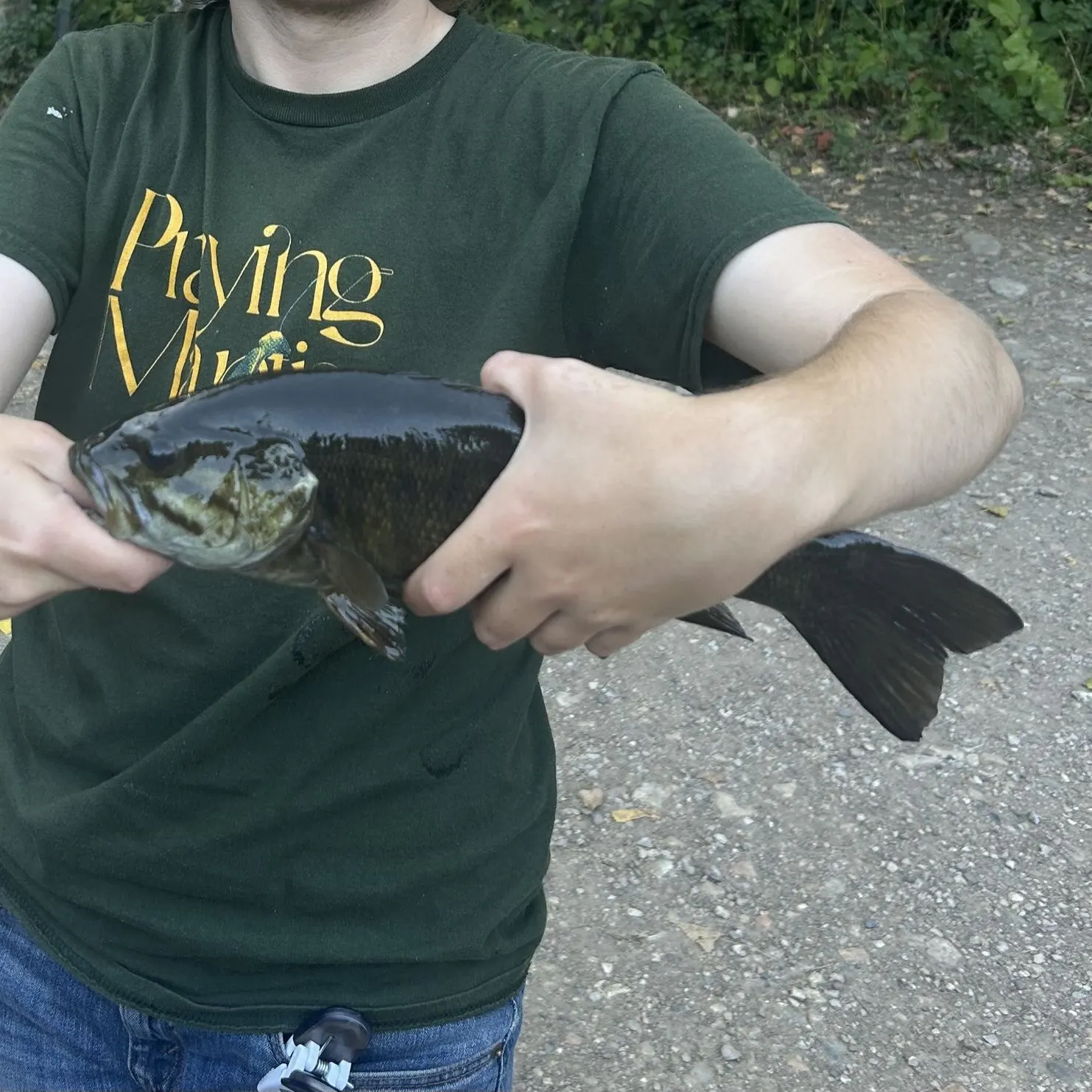 Smallmouth bass caught on Fishbrain