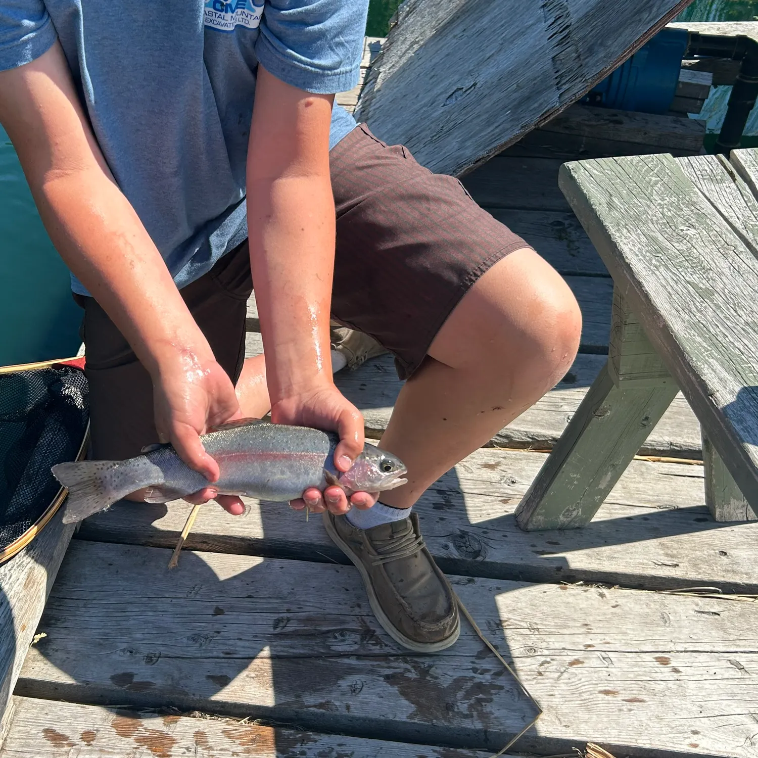 Rainbow trout caught on Fishbrain