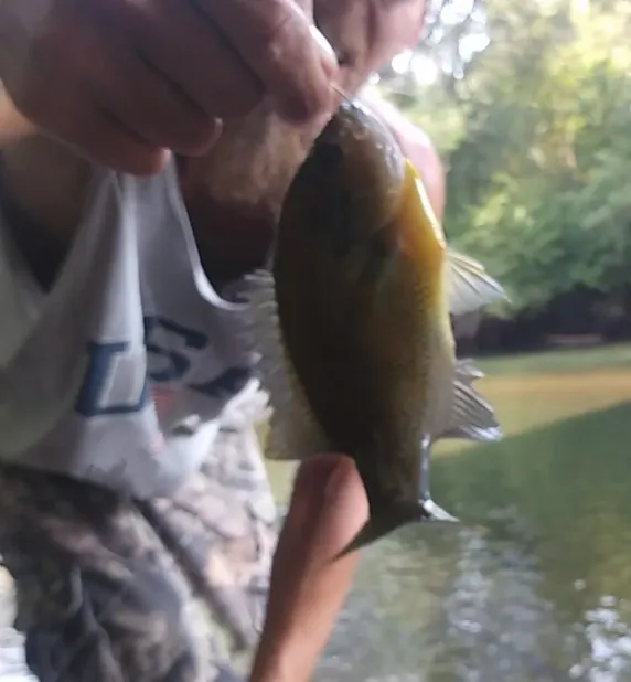 Post image from legallyblindoutdoors