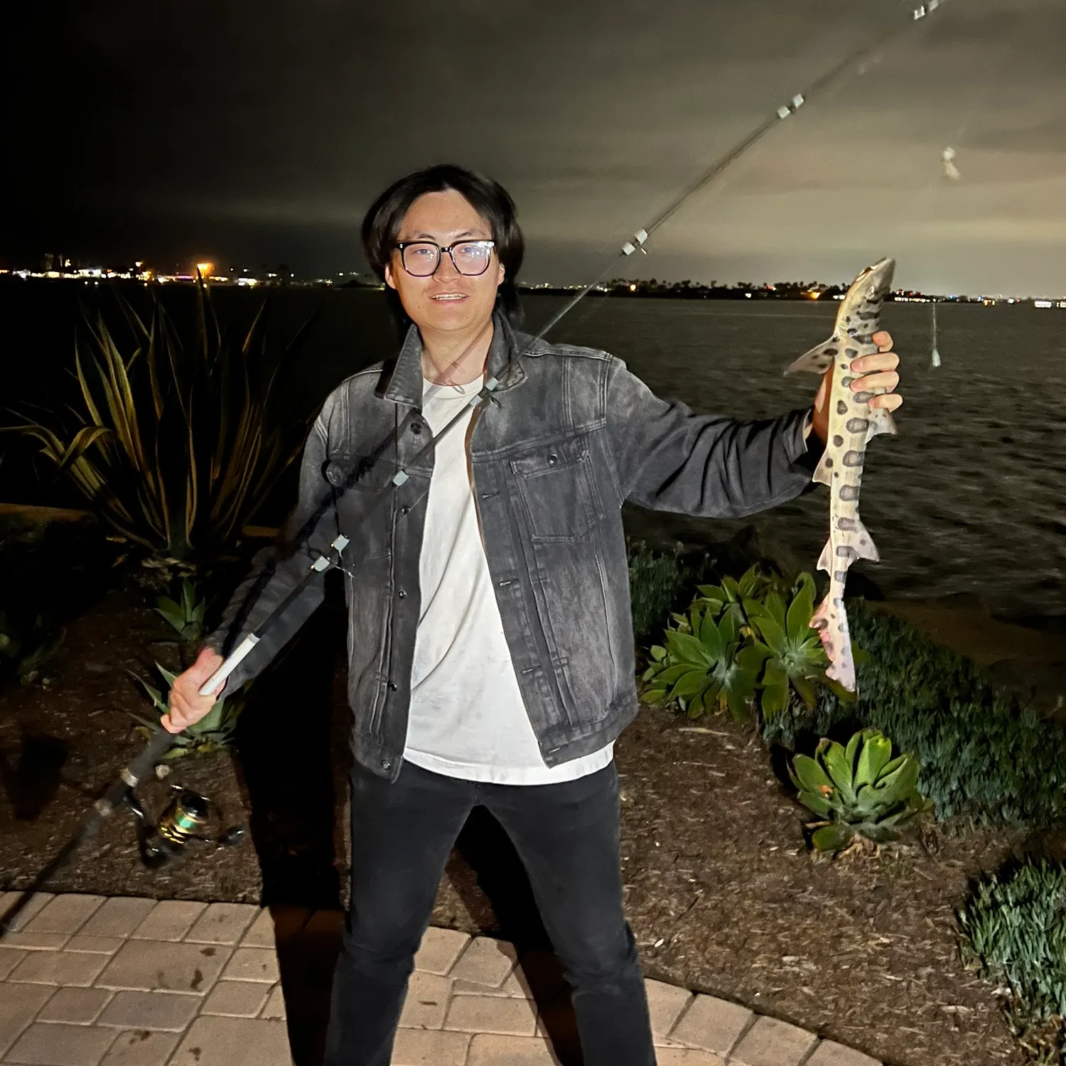 The most recent Leopard shark catches on Fishbrain
