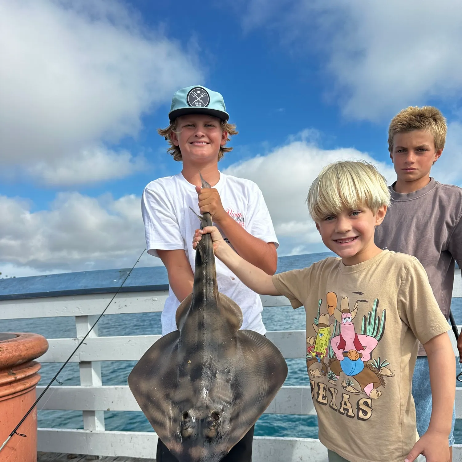 Banded guitarfish caught on Fishbrain