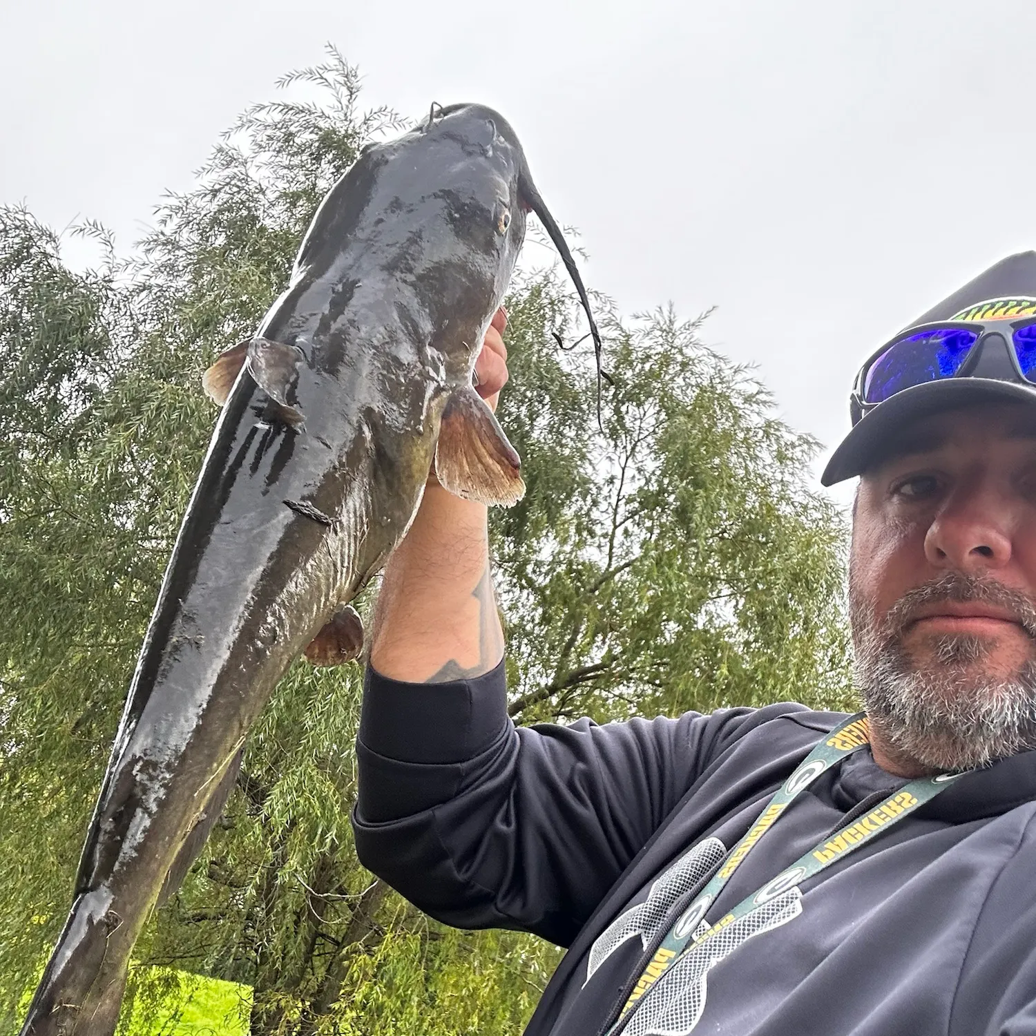 Channel catfish caught on Fishbrain