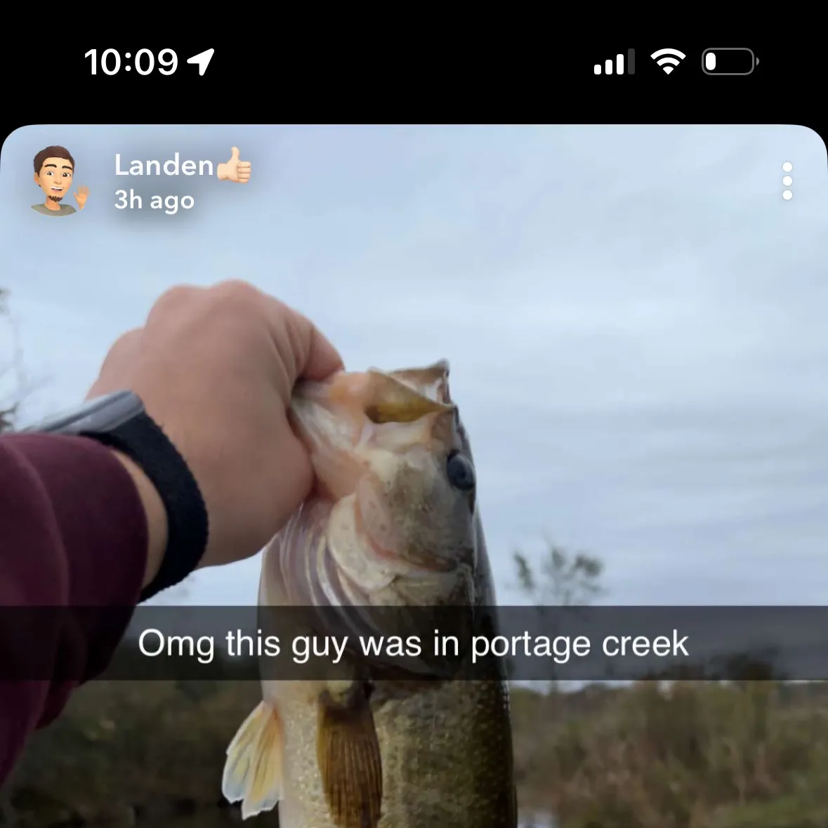 recently logged catches