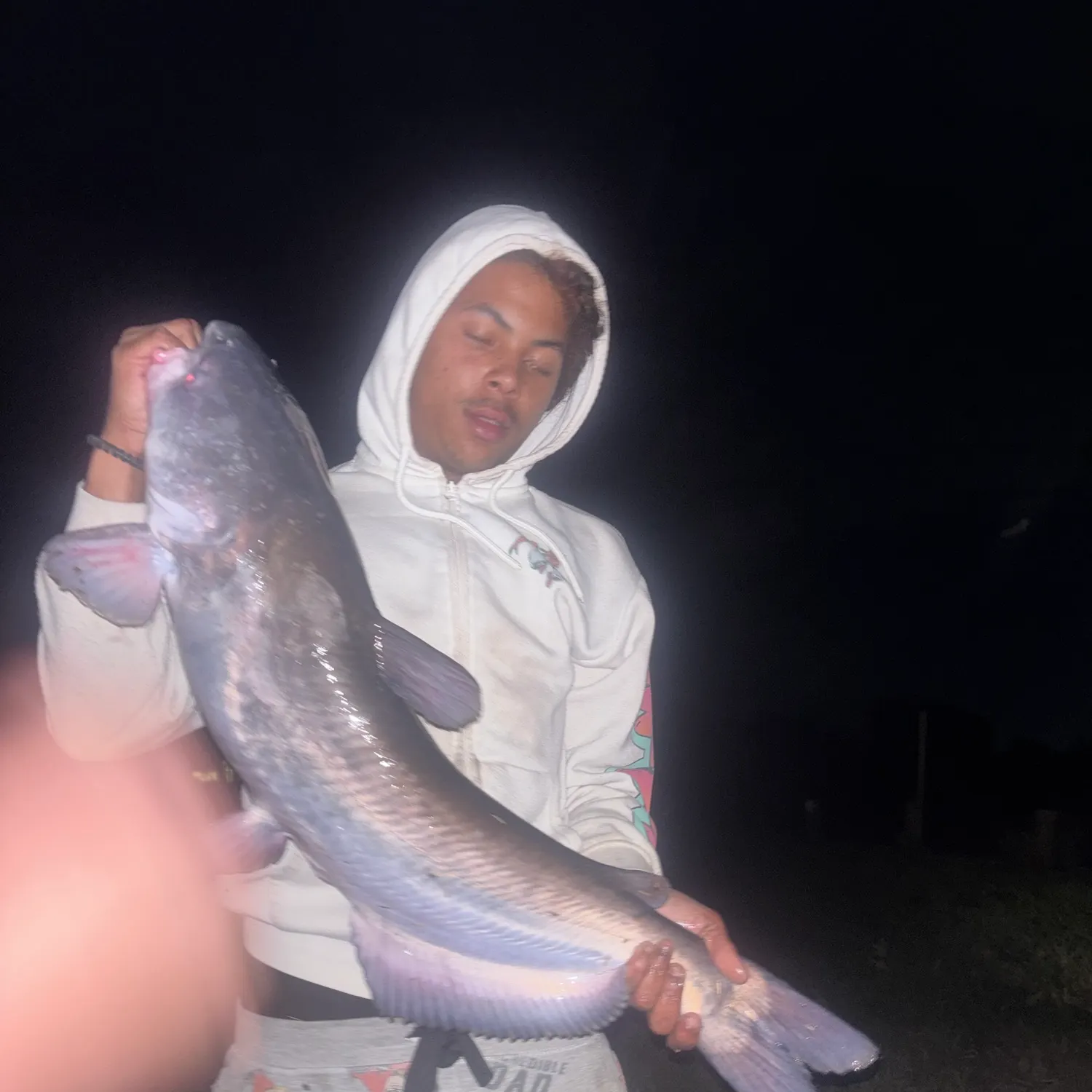 Blue catfish caught on Fishbrain