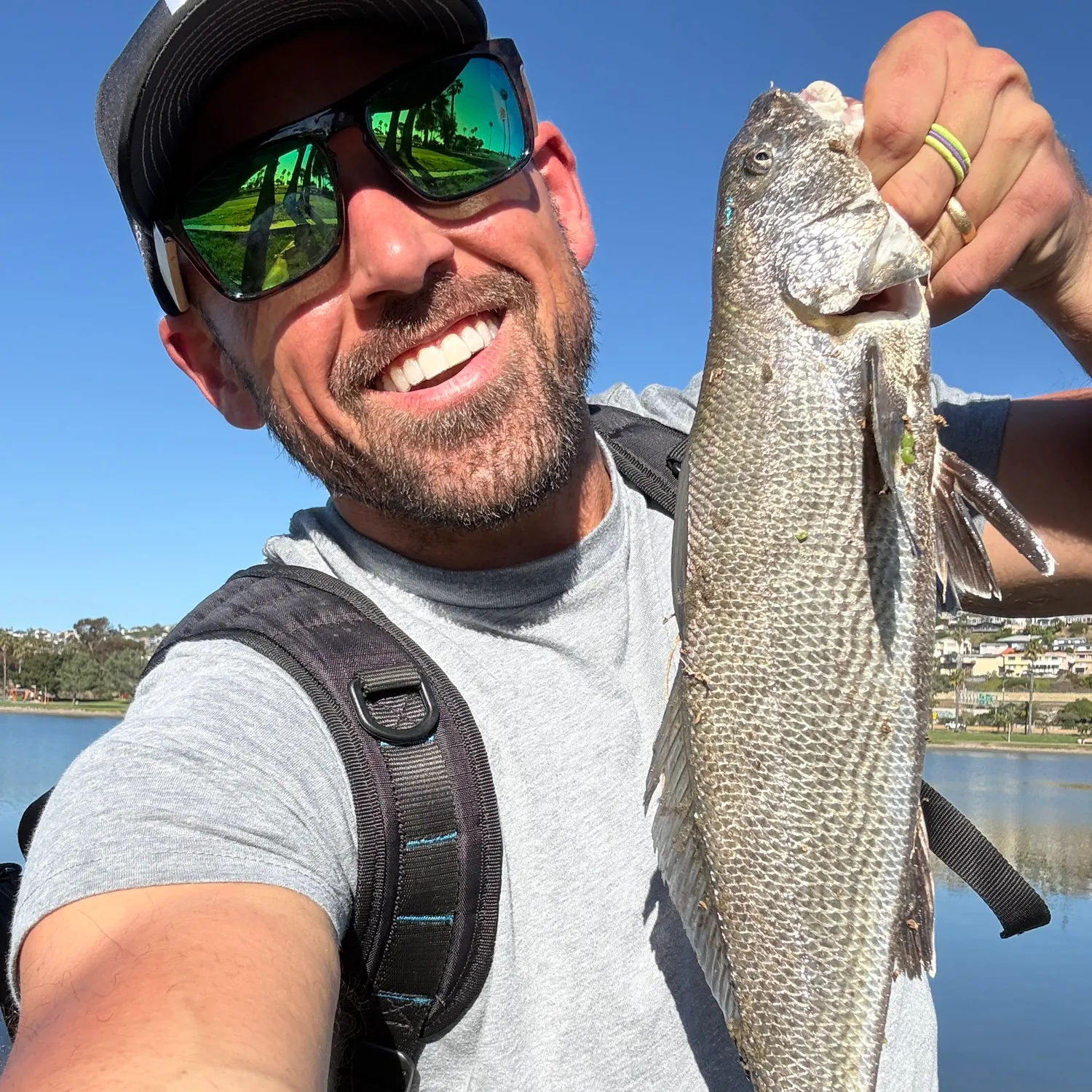 The most recent California corbina catches on Fishbrain