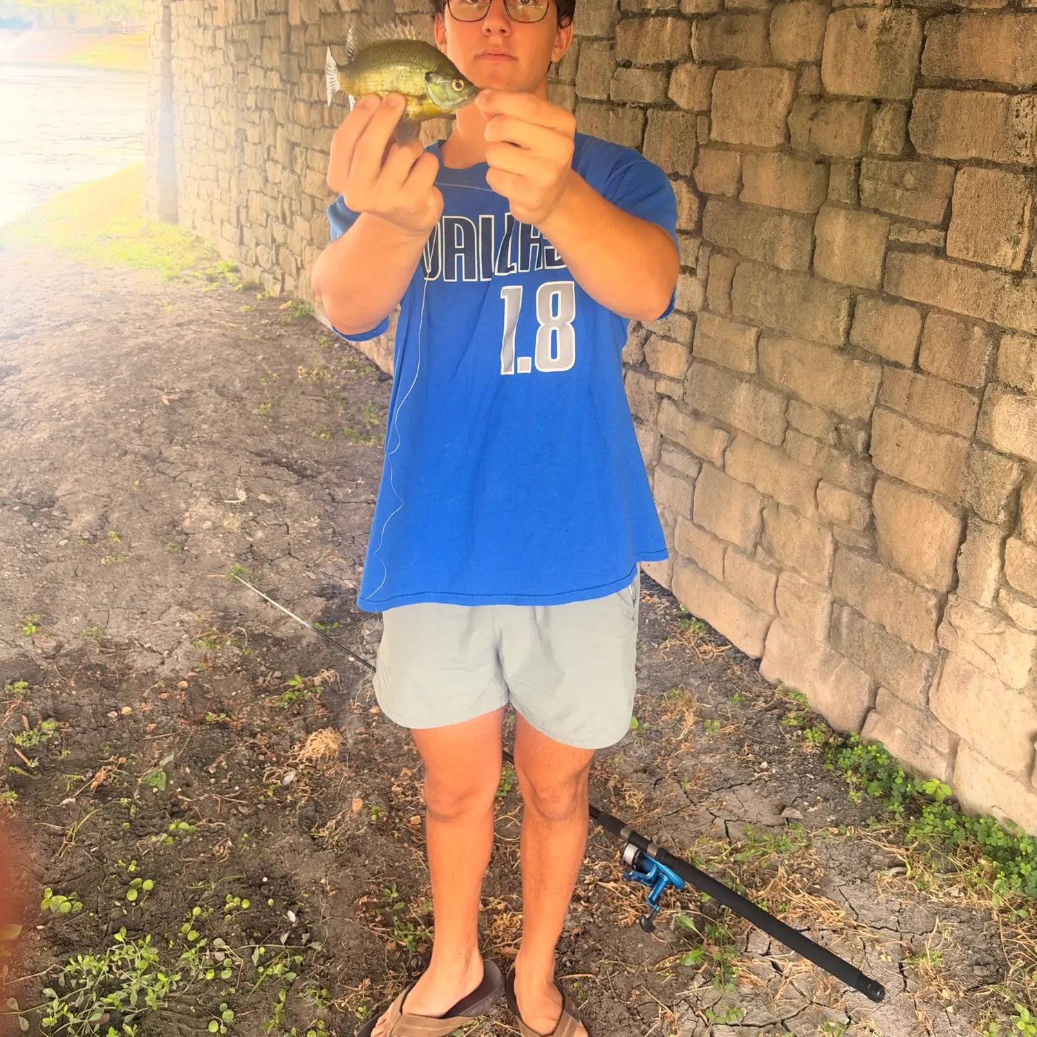 Bluegill caught on Fishbrain