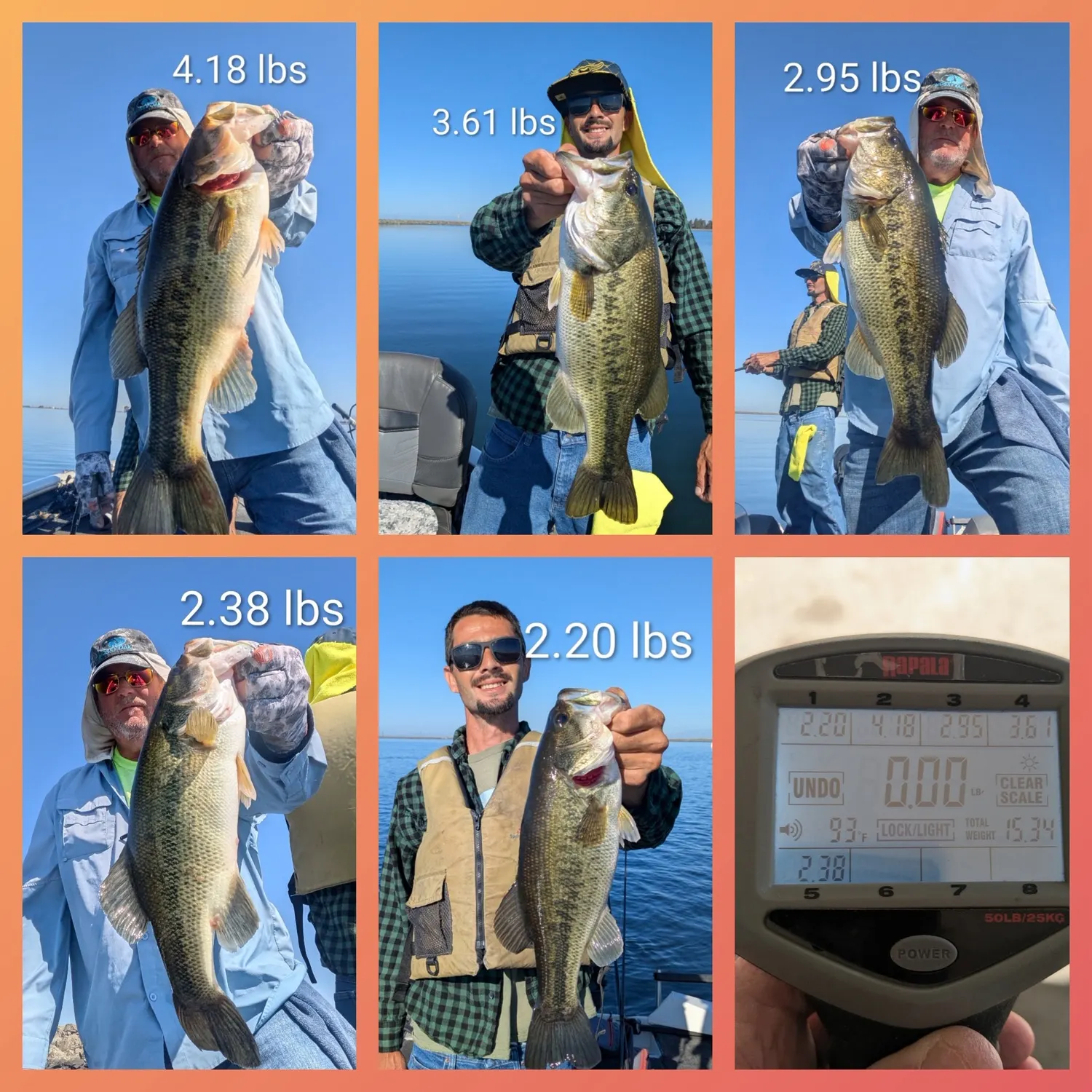 recently logged catches