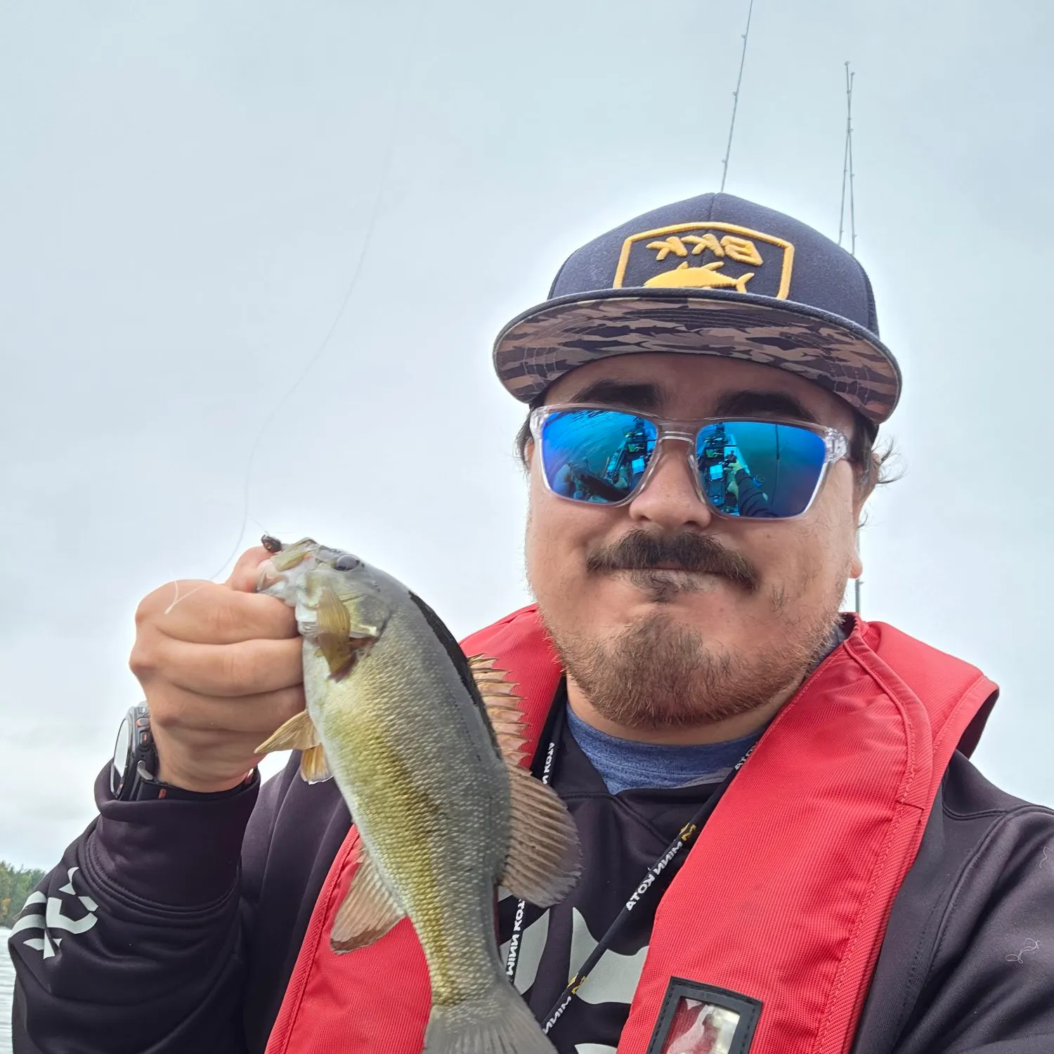 Smallmouth bass caught on Fishbrain