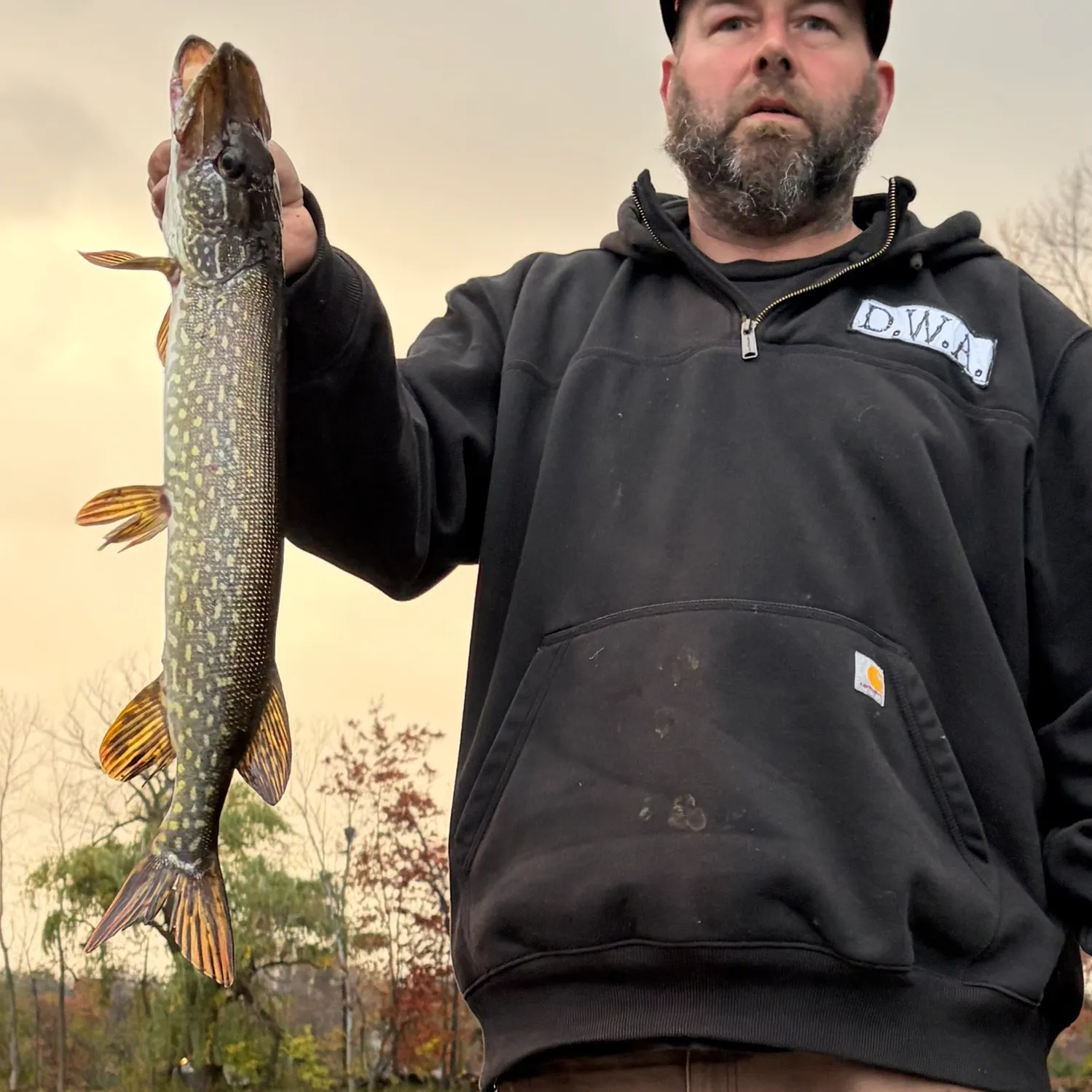 Northern pike caught on Fishbrain