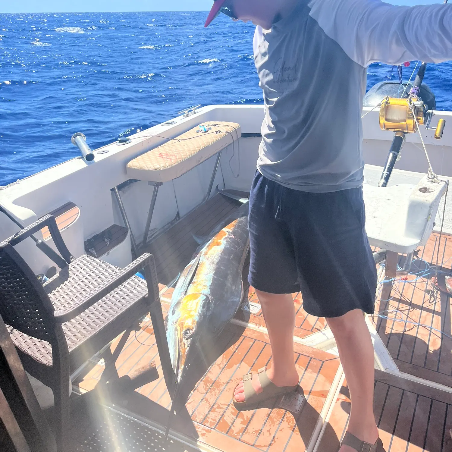 The most recent Black marlin catches on Fishbrain