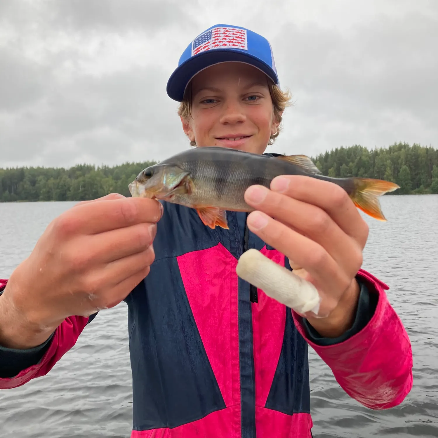 European perch caught on Fishbrain