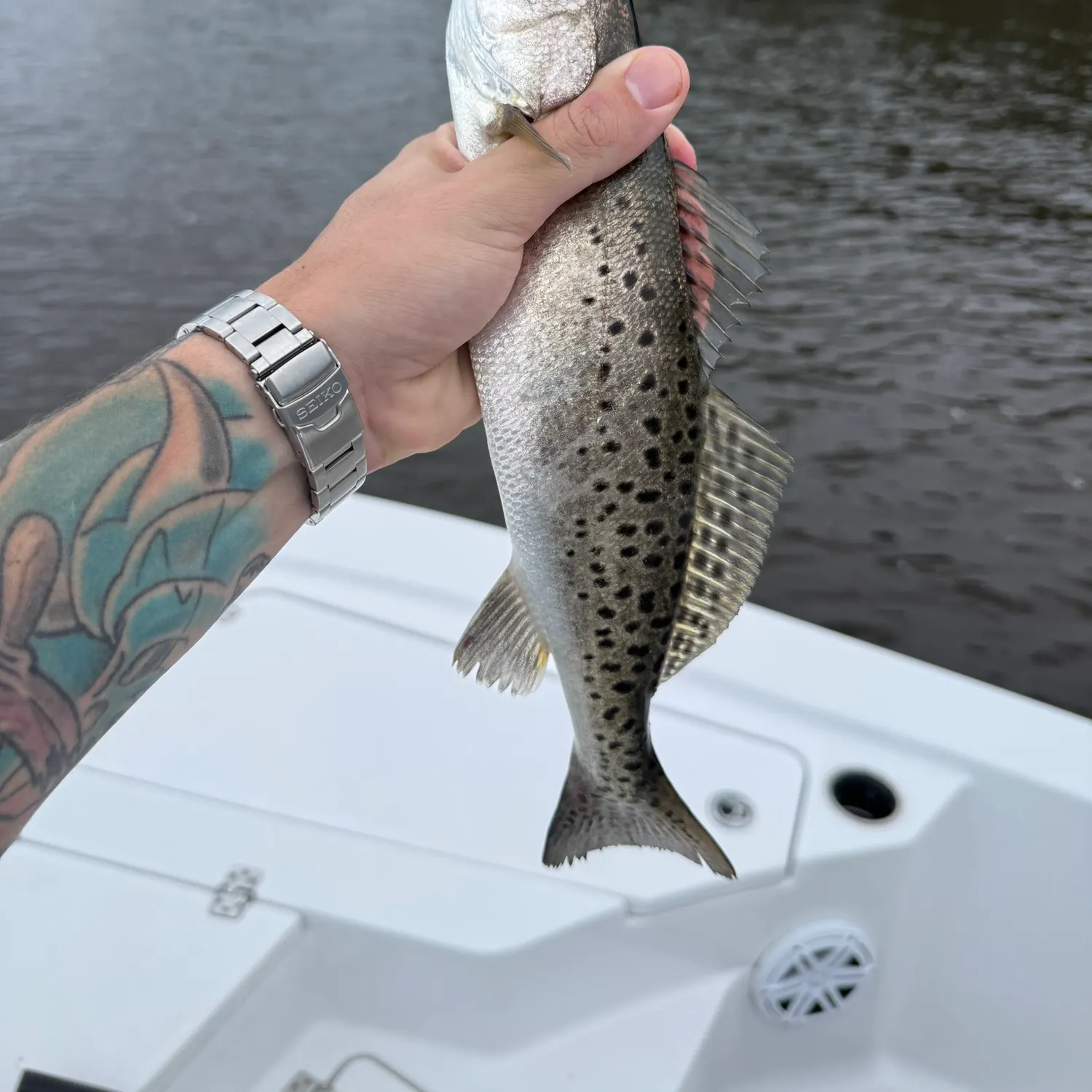Spotted seatrout caught on Fishbrain
