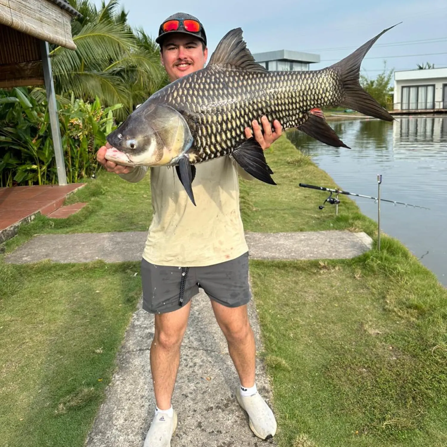 The most recent Siamese carp catches on Fishbrain